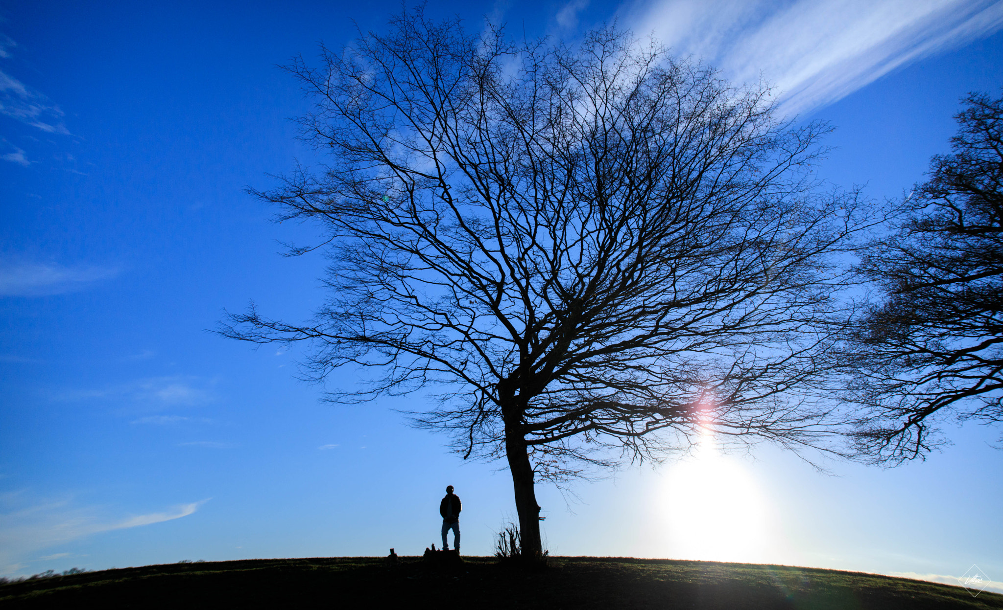 Canon EF 24-105mm F3.5-5.6 IS STM sample photo. Bleue land photography