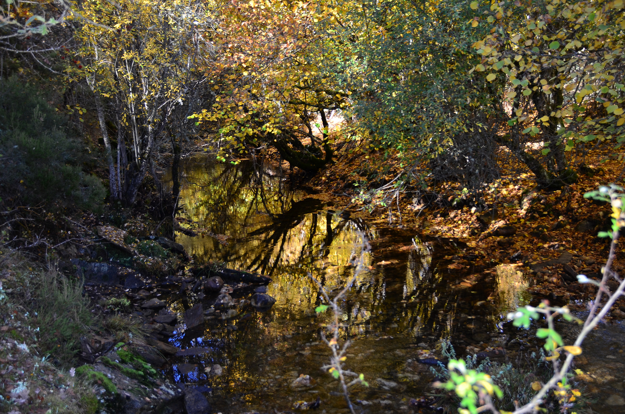 Sigma 18-200mm F3.5-6.3 II DC OS HSM sample photo. Reflejos de luz en el río photography