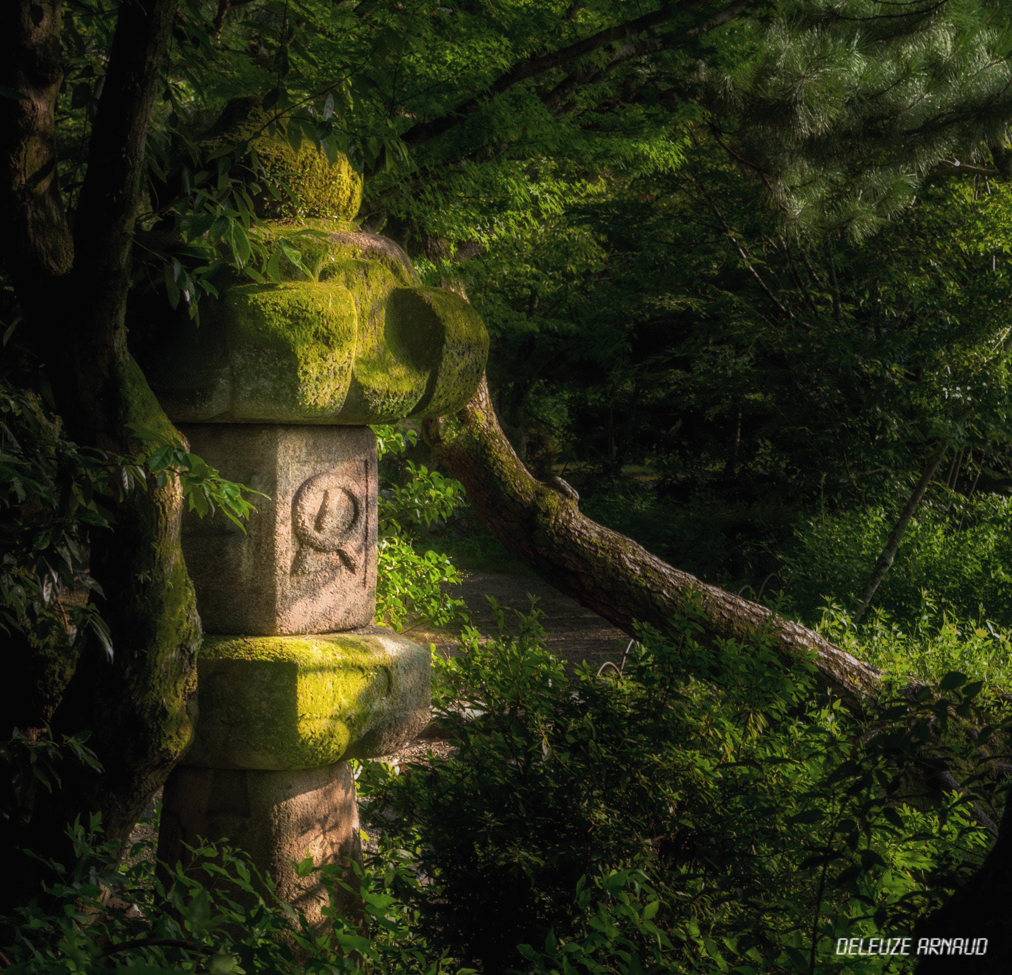 Pentax K-30 sample photo. Japanese garden photography