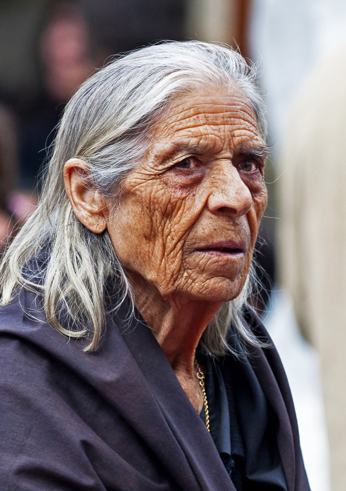 Canon EOS 40D + Canon EF 80-200mm f/2.8L sample photo. Matriarca photography
