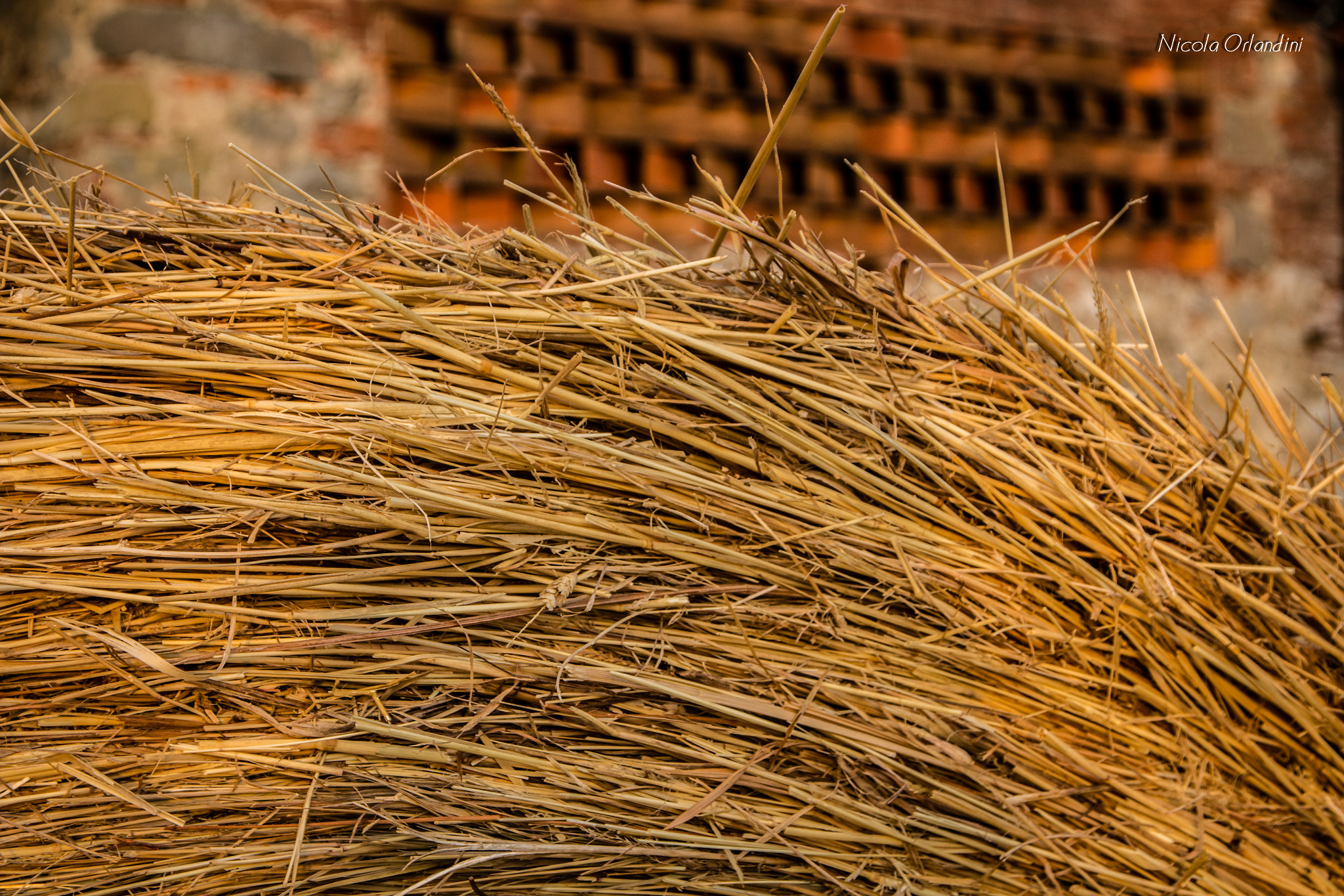 Sigma 17-70mm F2.8-4 DC Macro OS HSM sample photo. Fieno photography