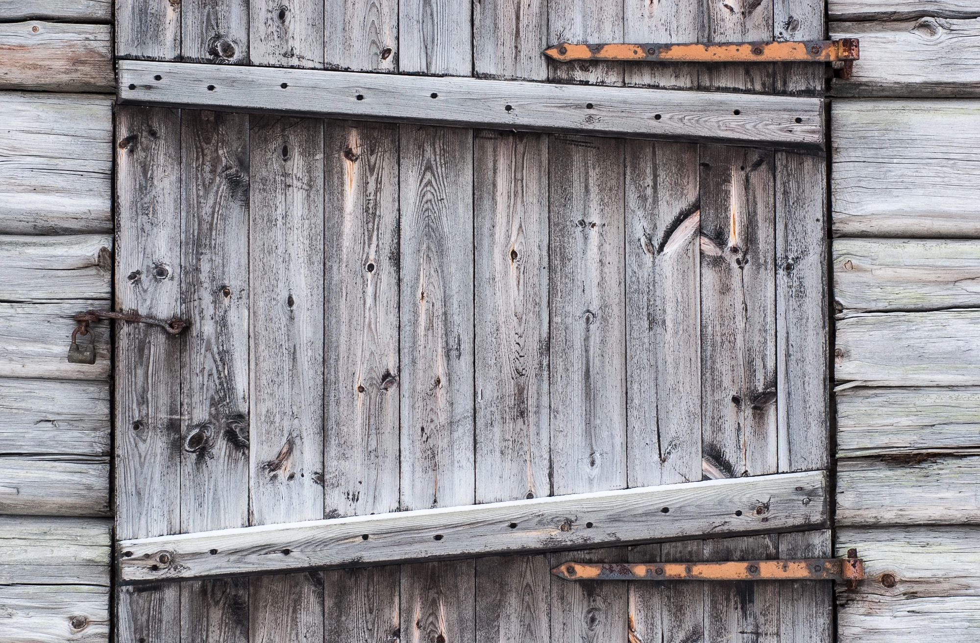 Nikon D1 sample photo. Old door photography