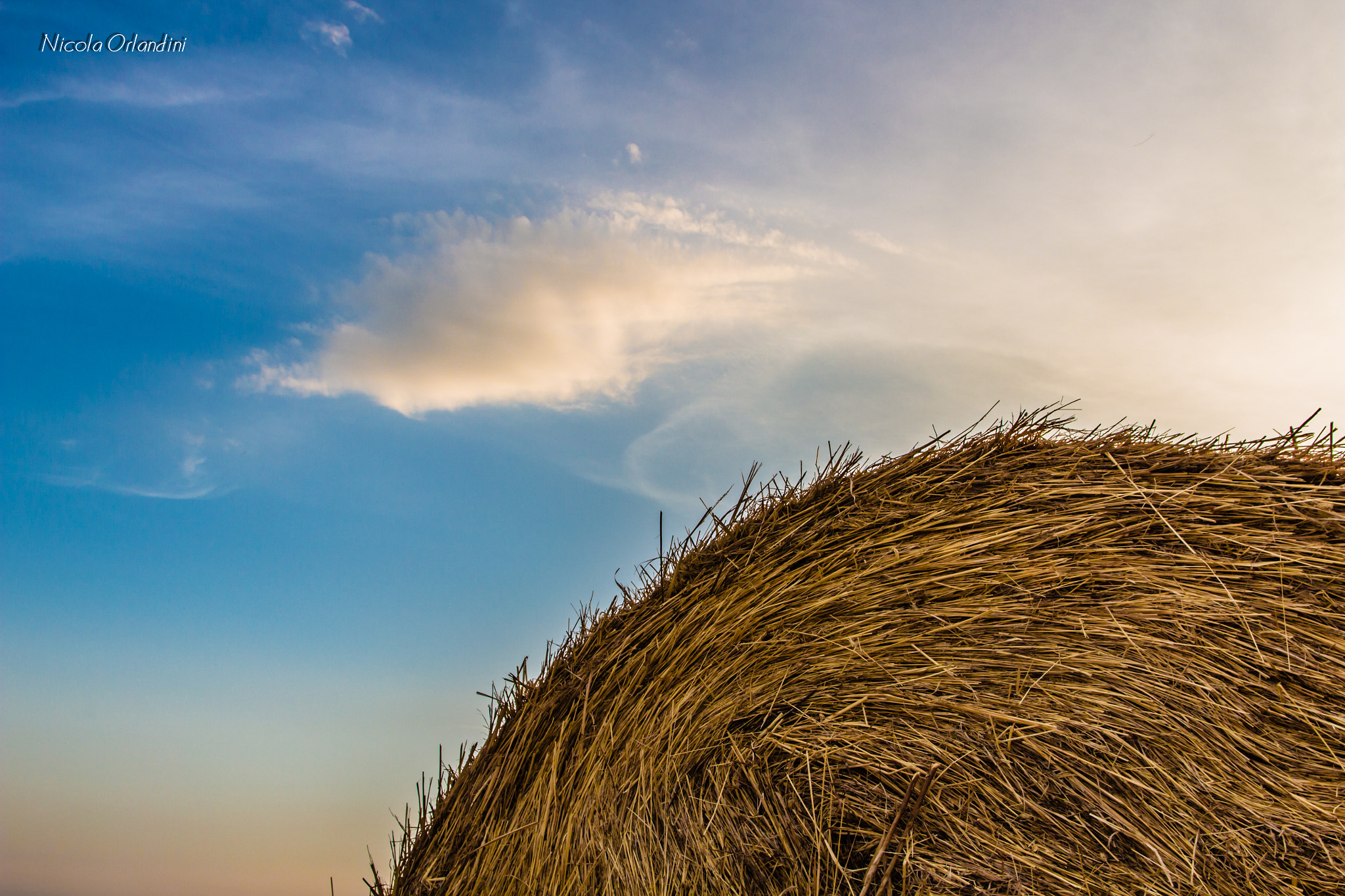 Sigma 17-70mm F2.8-4 DC Macro OS HSM sample photo. Fieno photography