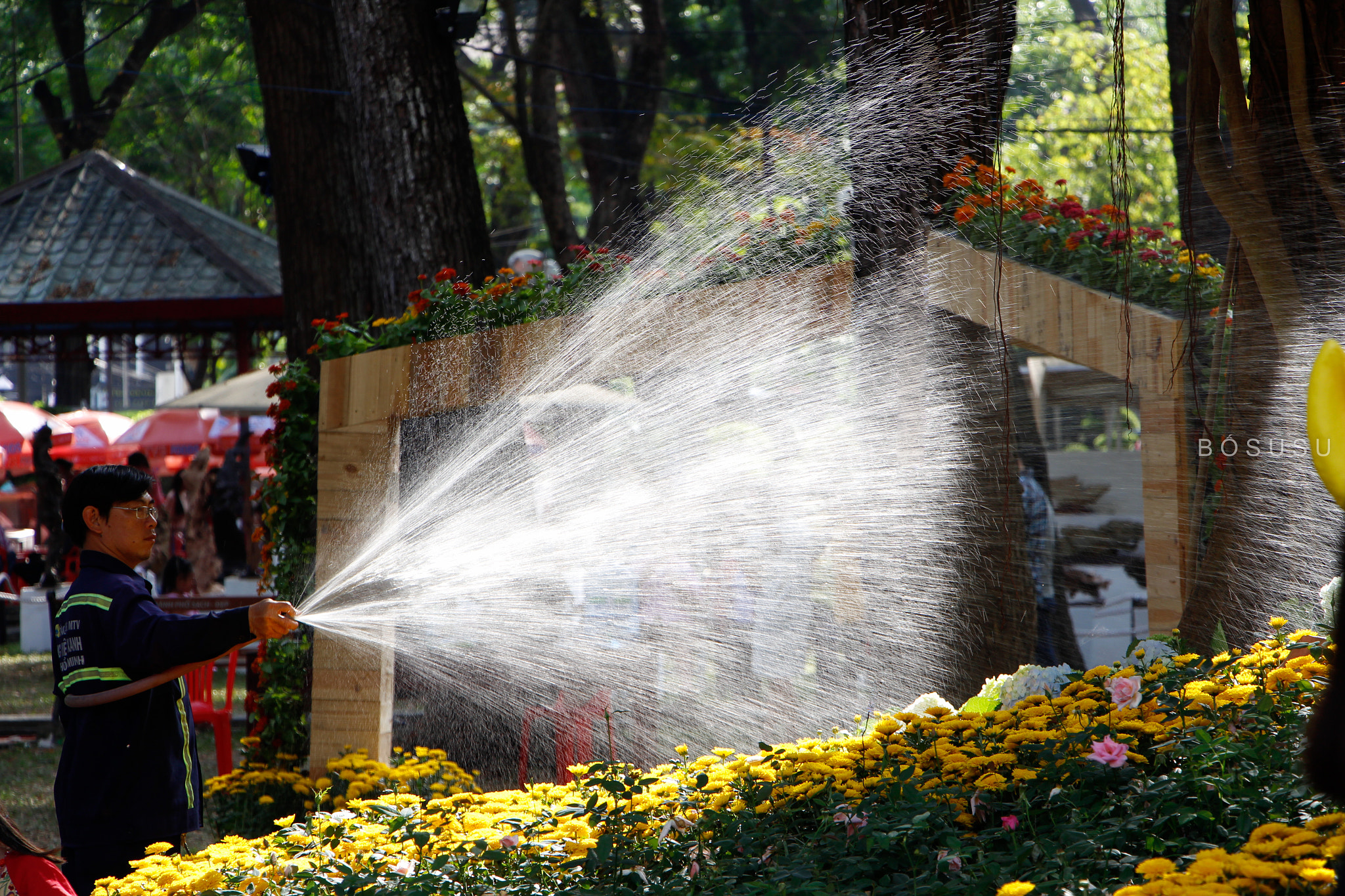 Canon EOS 700D (EOS Rebel T5i / EOS Kiss X7i) sample photo. Spring sunshine photography