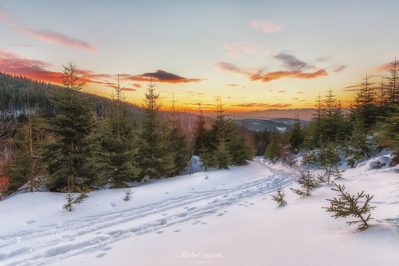 HD PENTAX-D FA 15-30mm F2.8 ED SDM WR sample photo. Krowiarki z widokiem na tatry... photography