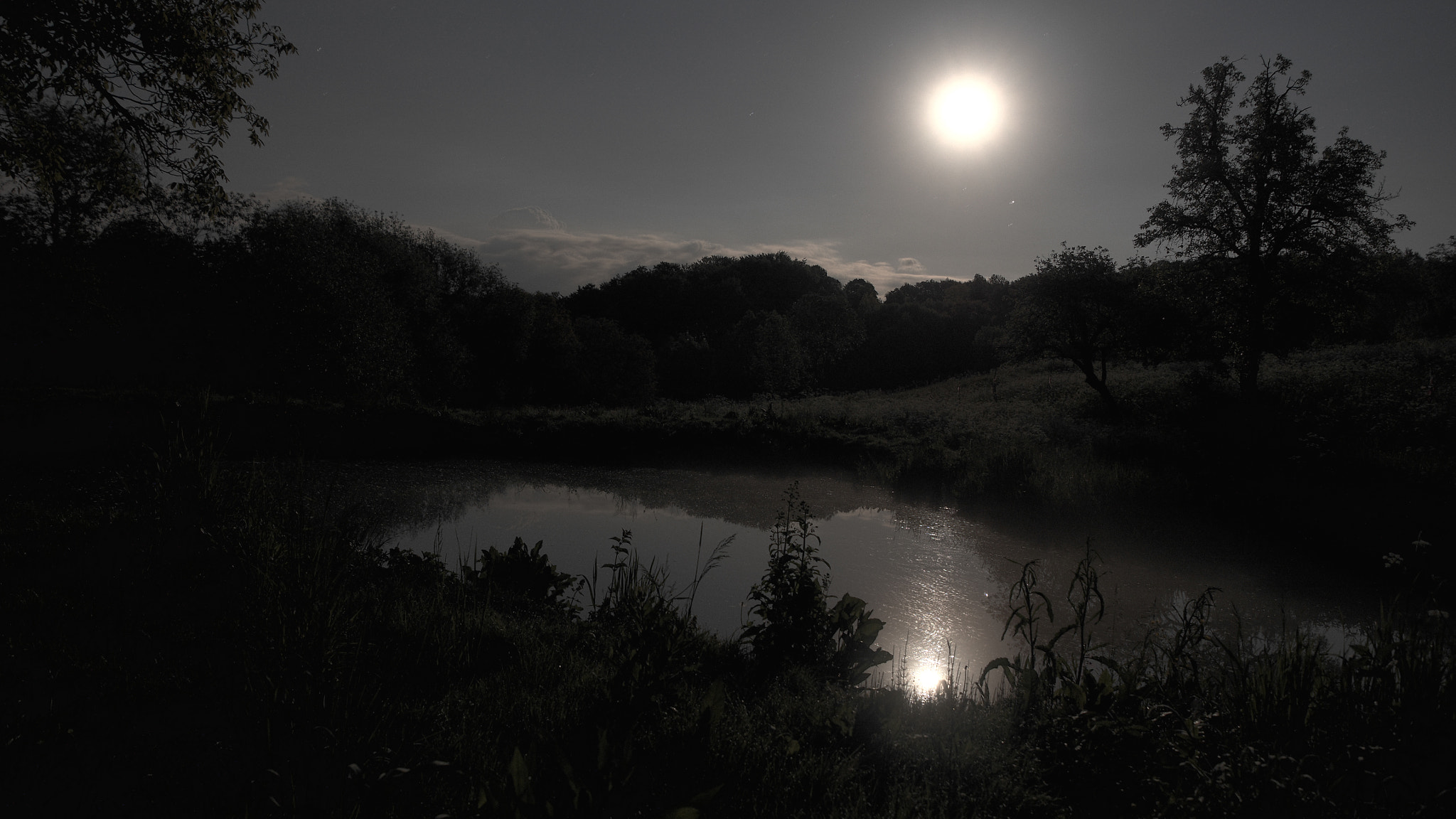 Panasonic Lumix DMC-GH3 + OLYMPUS DIGITAL 12-60mm Lens sample photo. Moonlight on a lake photography