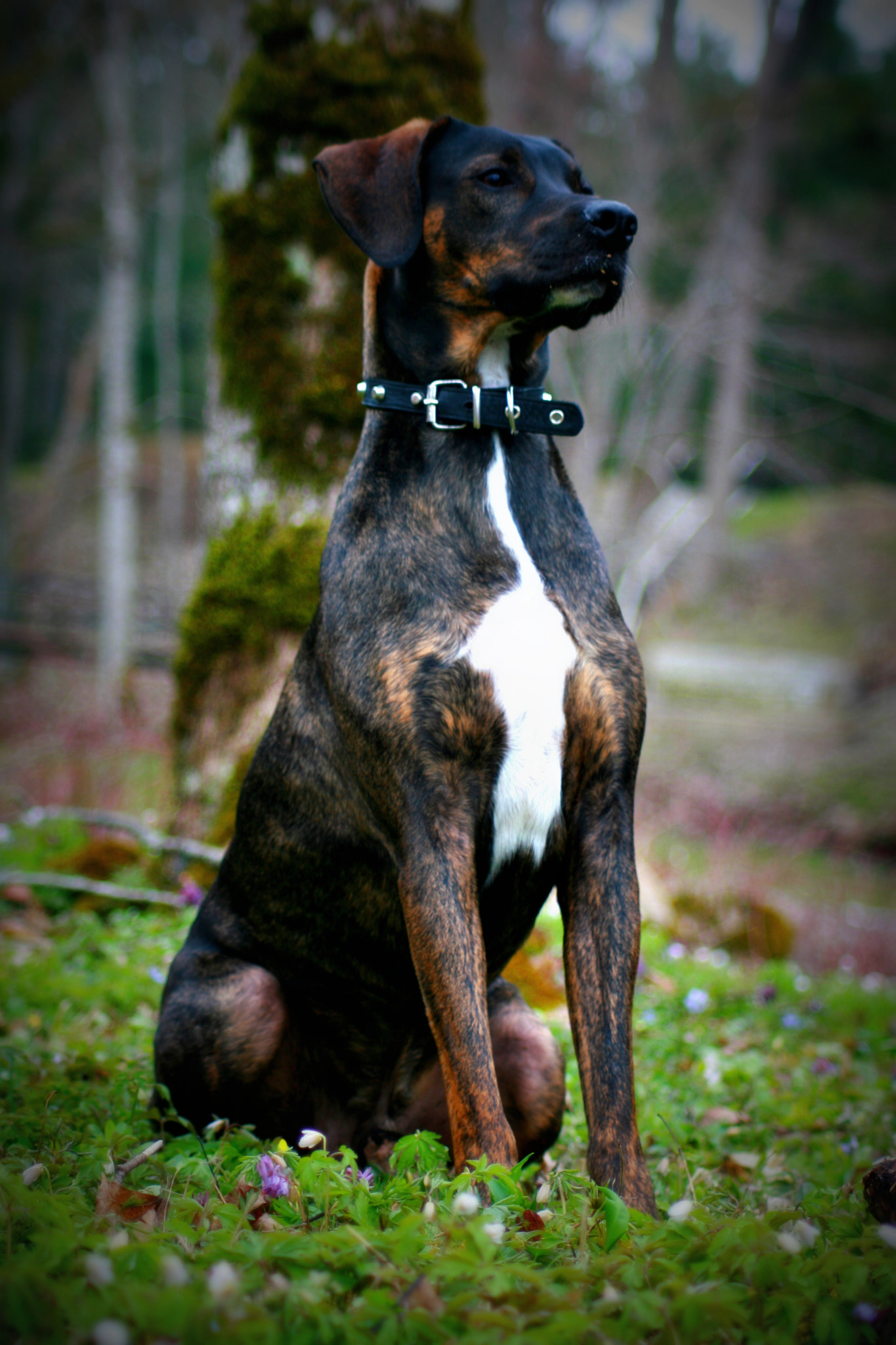 Canon EOS 30D sample photo. Img photography
