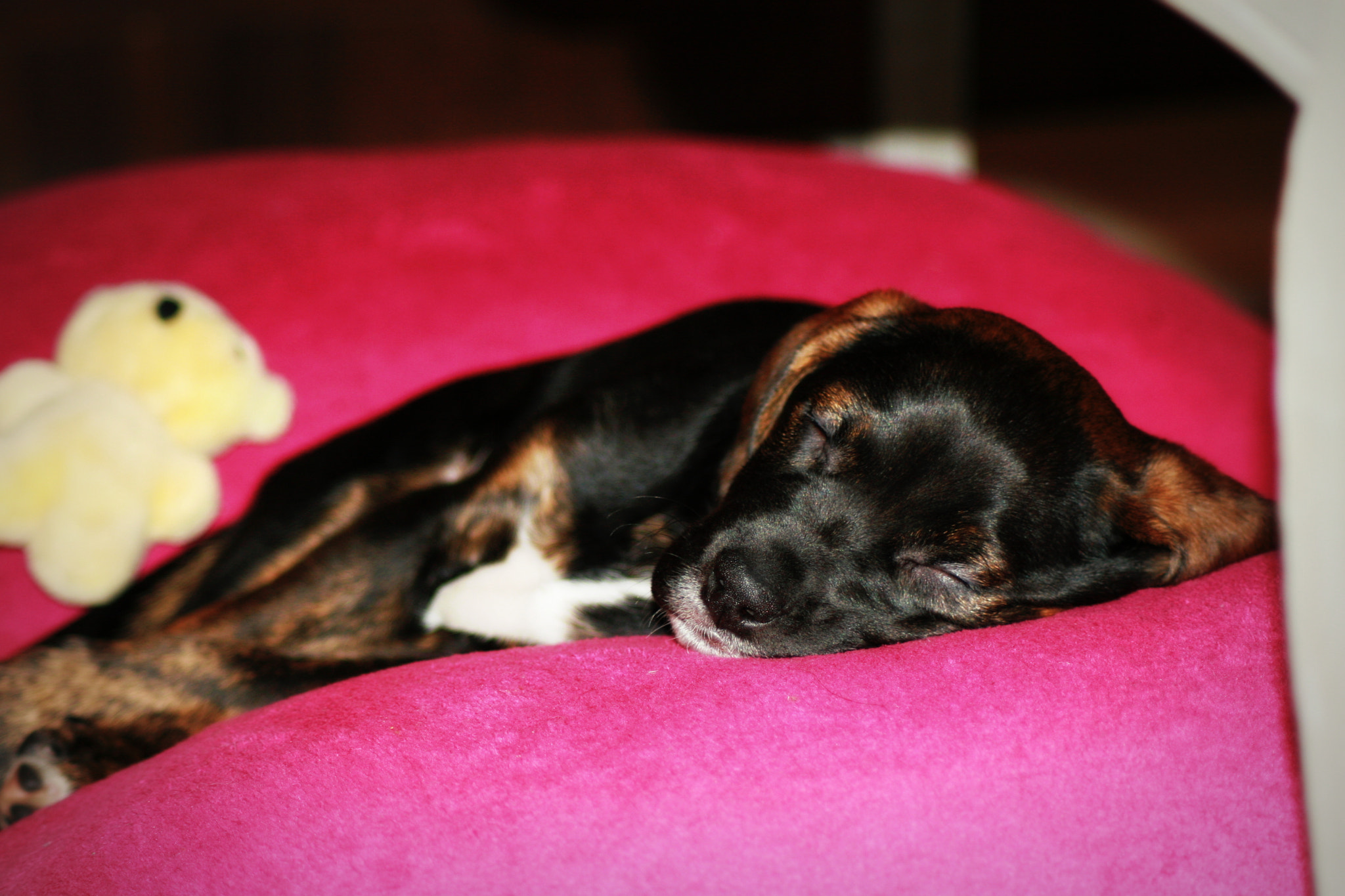 Canon EOS 30D sample photo. Img photography