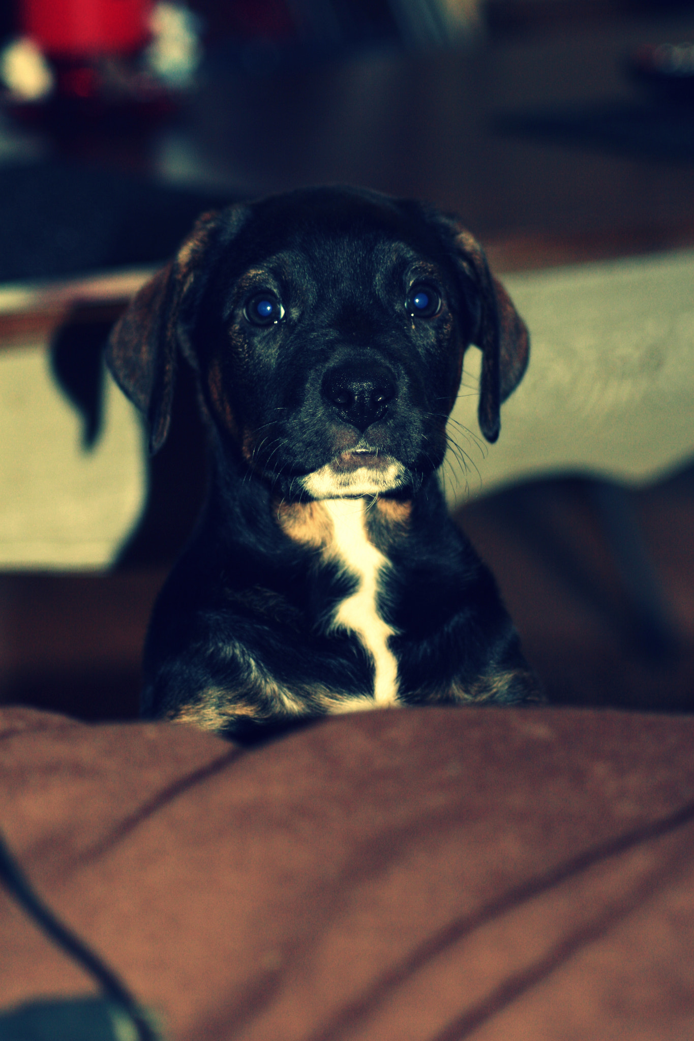 Canon EOS 30D sample photo. Img photography