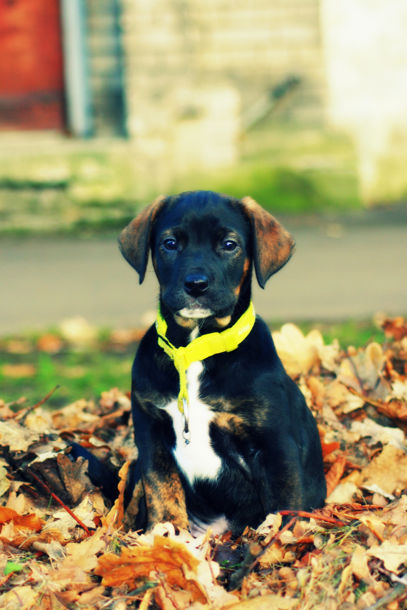 Canon EOS 30D sample photo. Img photography