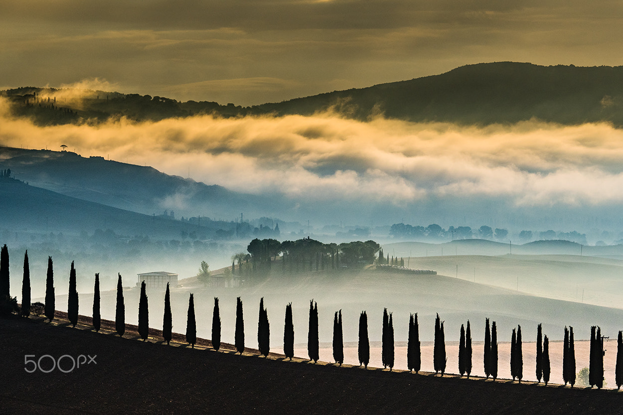 Olympus OM-D E-M5 II + Olympus M.Zuiko Digital ED 40-150mm F2.8 Pro sample photo. Val d'orcia photography