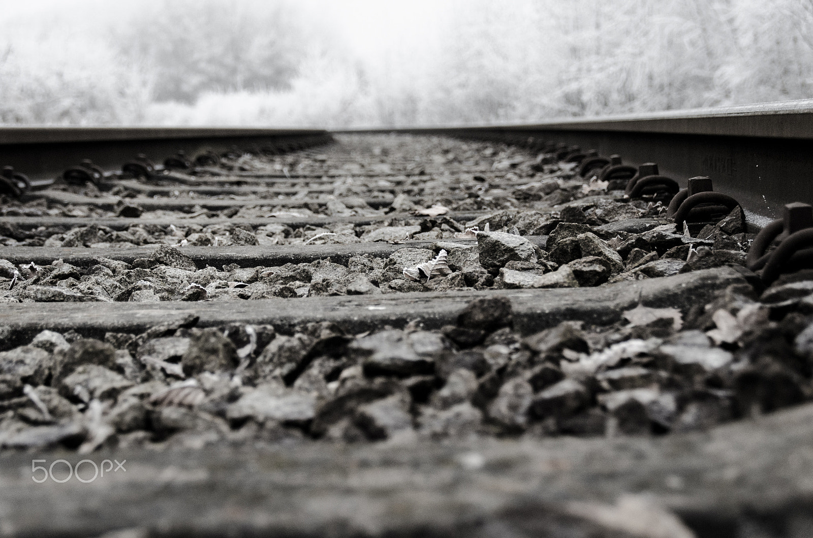 Nikon PC-E Nikkor 24mm F3.5D ED Tilt-Shift sample photo. Industrial railway photography