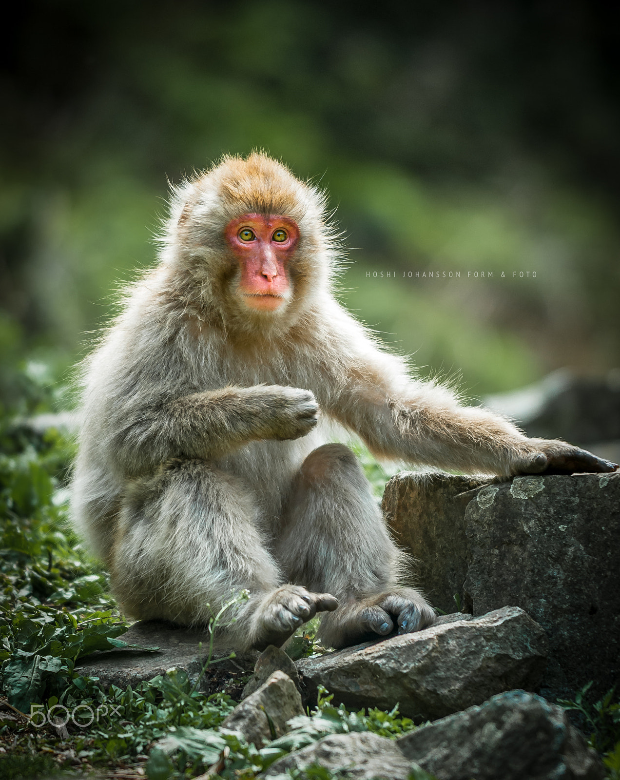 Nikon D200 sample photo. Nature child photography