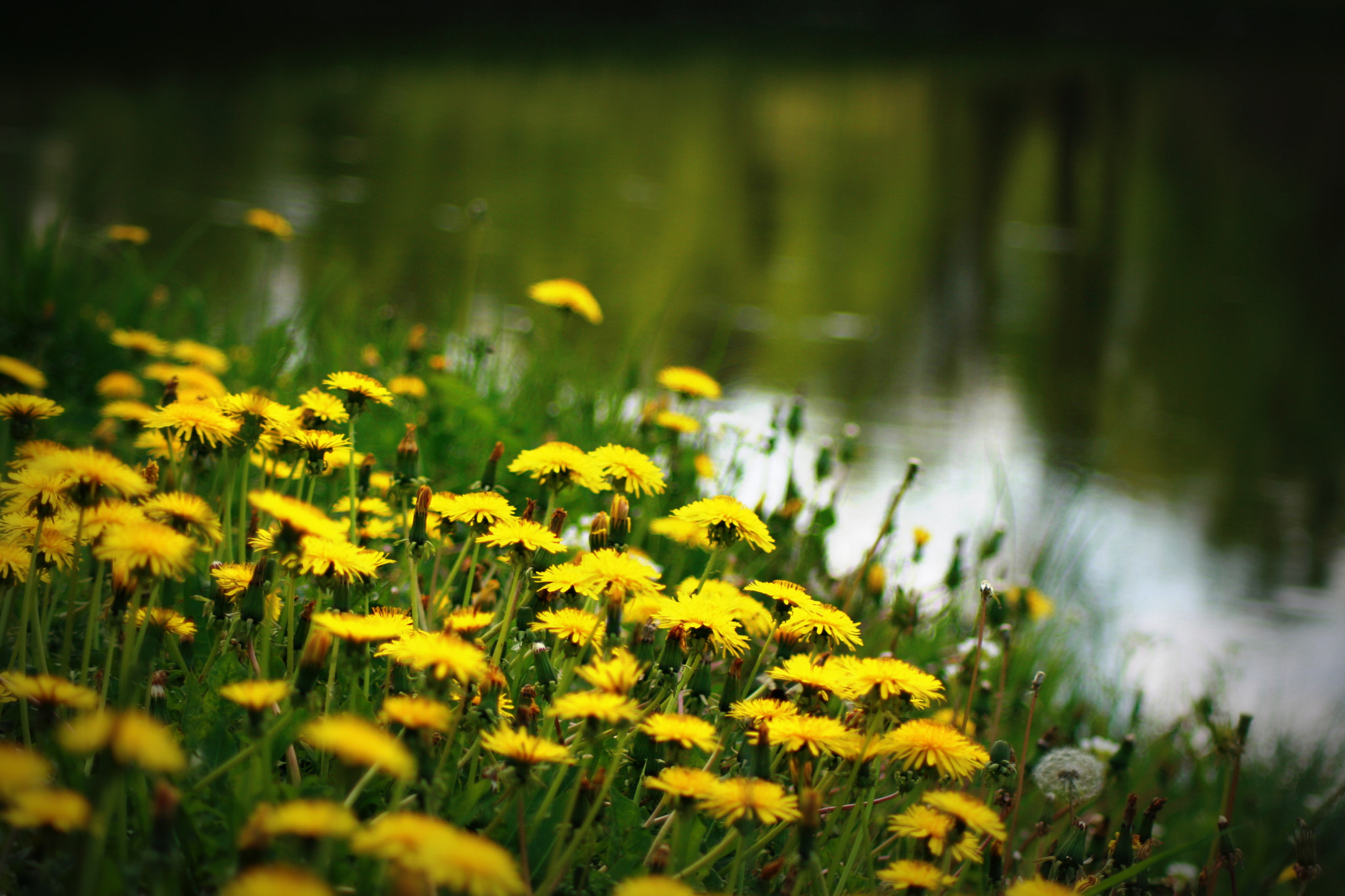 Canon EOS 30D sample photo. Img photography