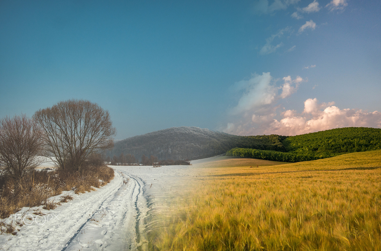 Samsung NX 18-55mm F3.5-5.6 OIS sample photo. From winter to summer photography