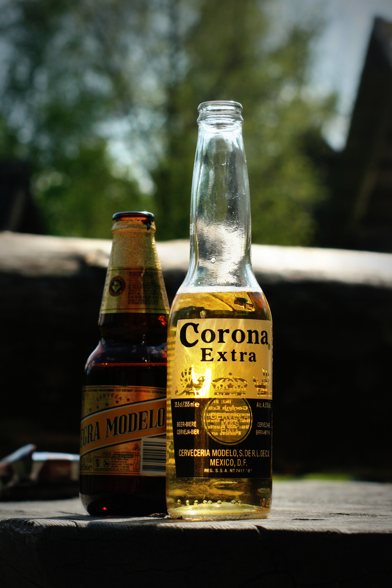 Canon EOS 30D sample photo. Img photography