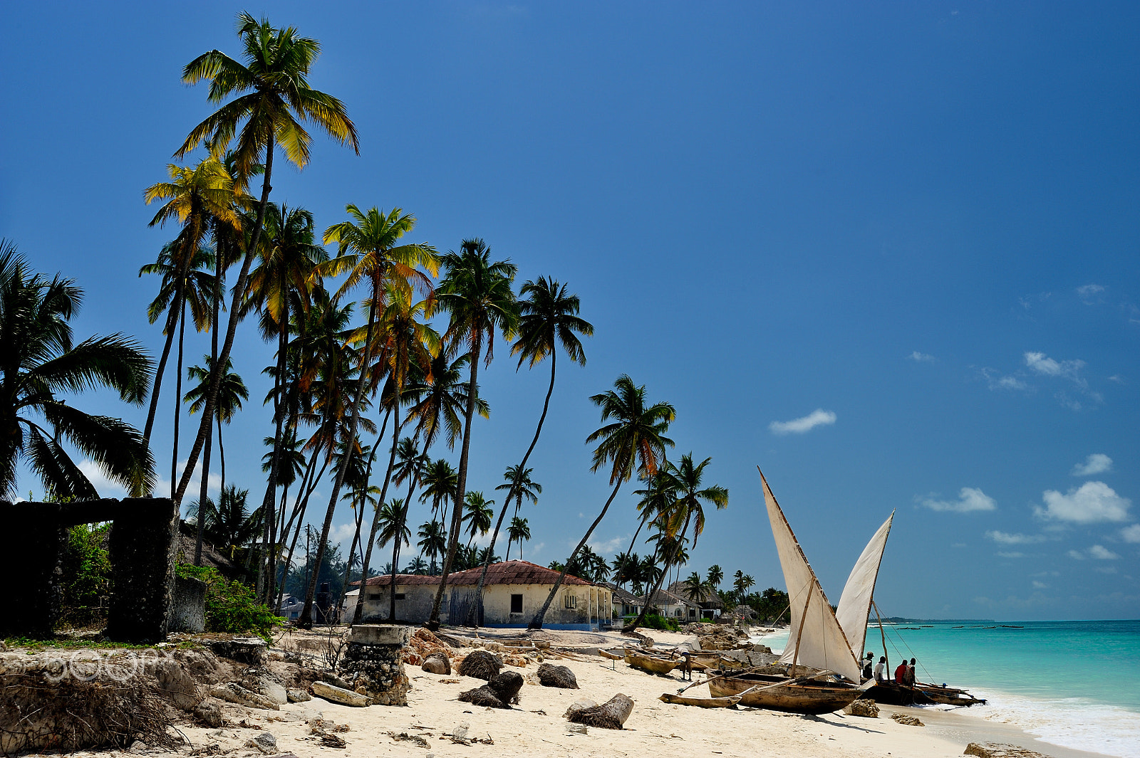 Nikon D3 sample photo. Jambiani beach, zanzibar photography