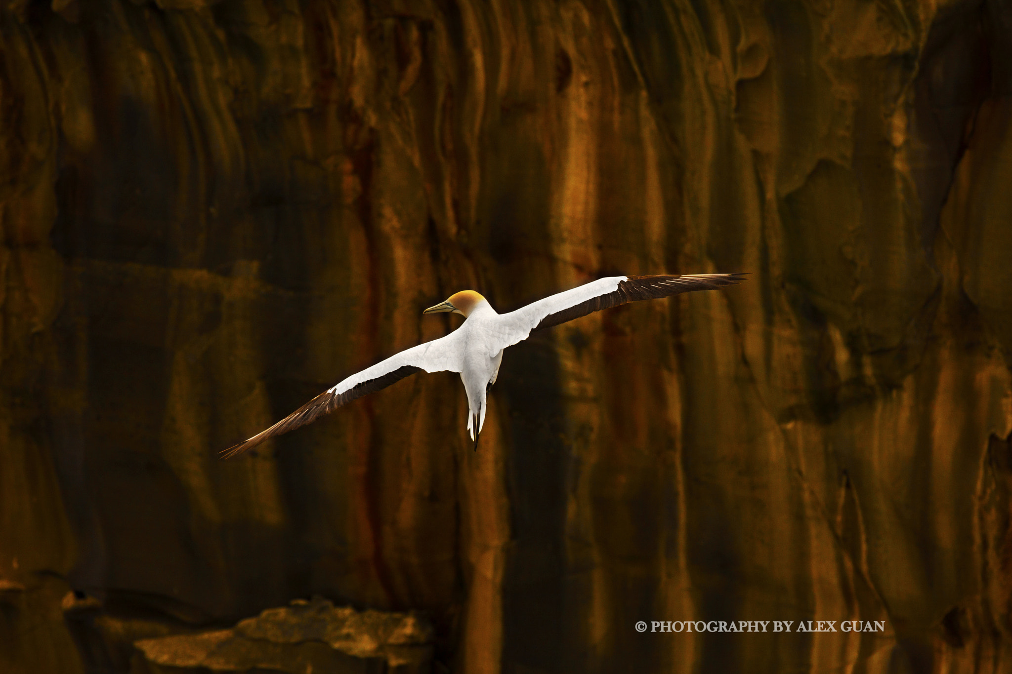 Canon EOS 40D sample photo. Cliff climbing photography