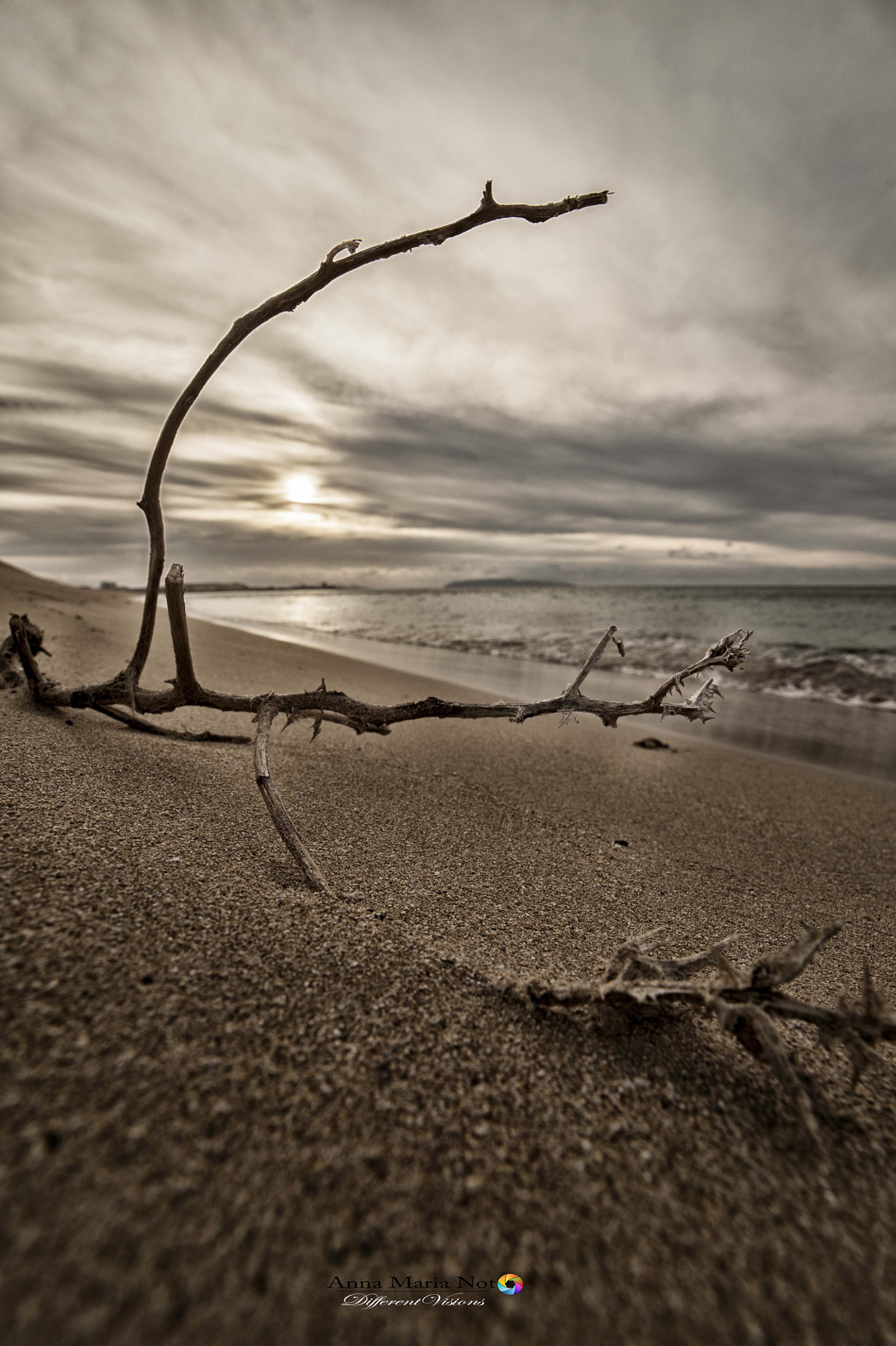 Samyang 14mm F2.8 ED AS IF UMC sample photo. Nuova prospettiva photography