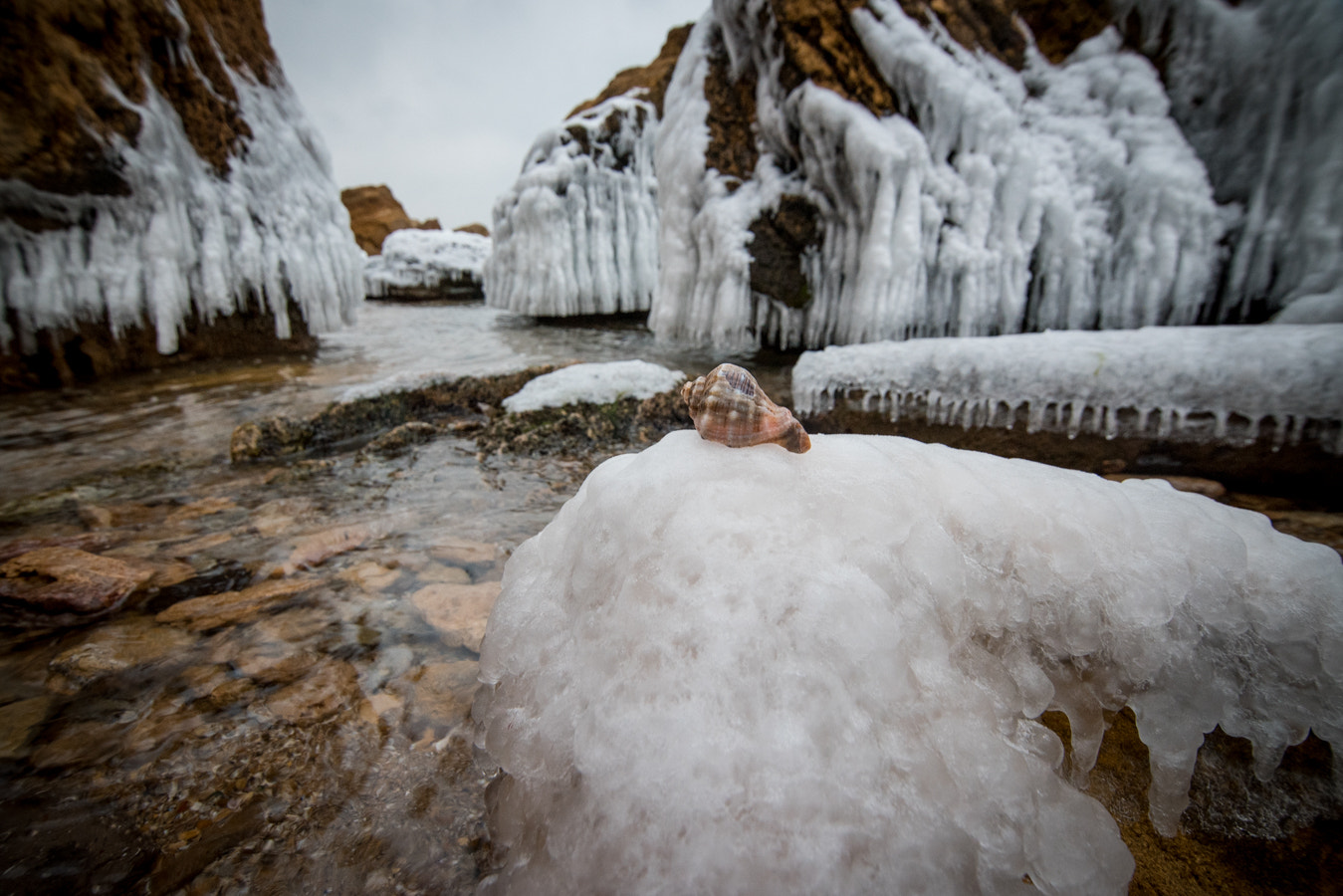 Nikon D810 sample photo. Frozen throne photography