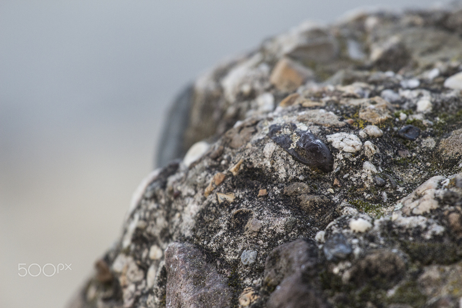 Canon EOS 700D (EOS Rebel T5i / EOS Kiss X7i) + Canon EF 70-200mm F4L USM sample photo. Stone photography