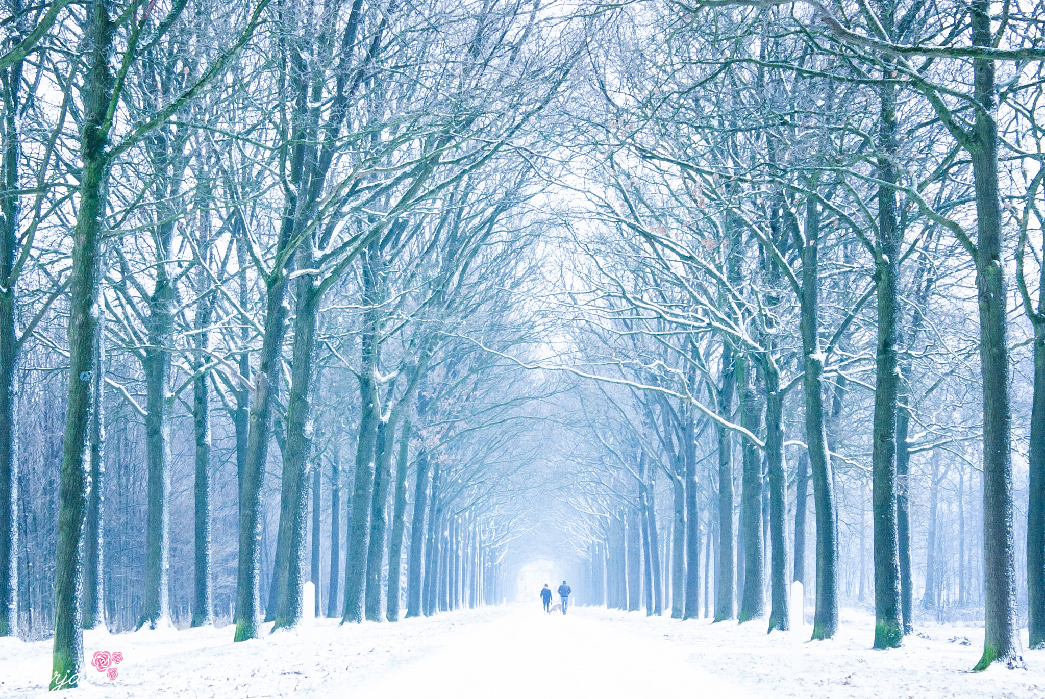 Canon EOS 40D sample photo. Now this is a memory ,the snow is gone but i am happy with this picture .... photography