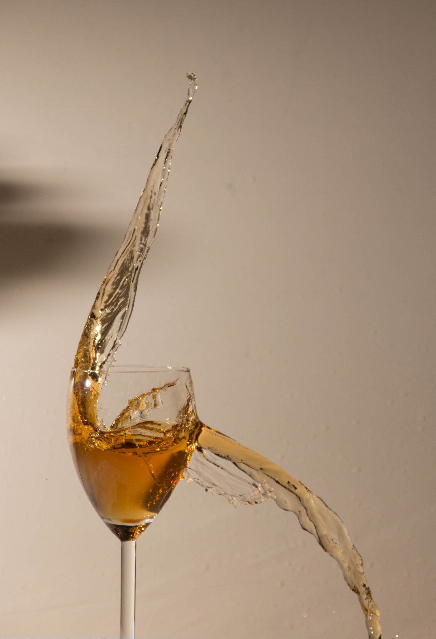 Sigma 28-300mm F3.5-6.3 DG Macro sample photo. I'll never drink again .... photography