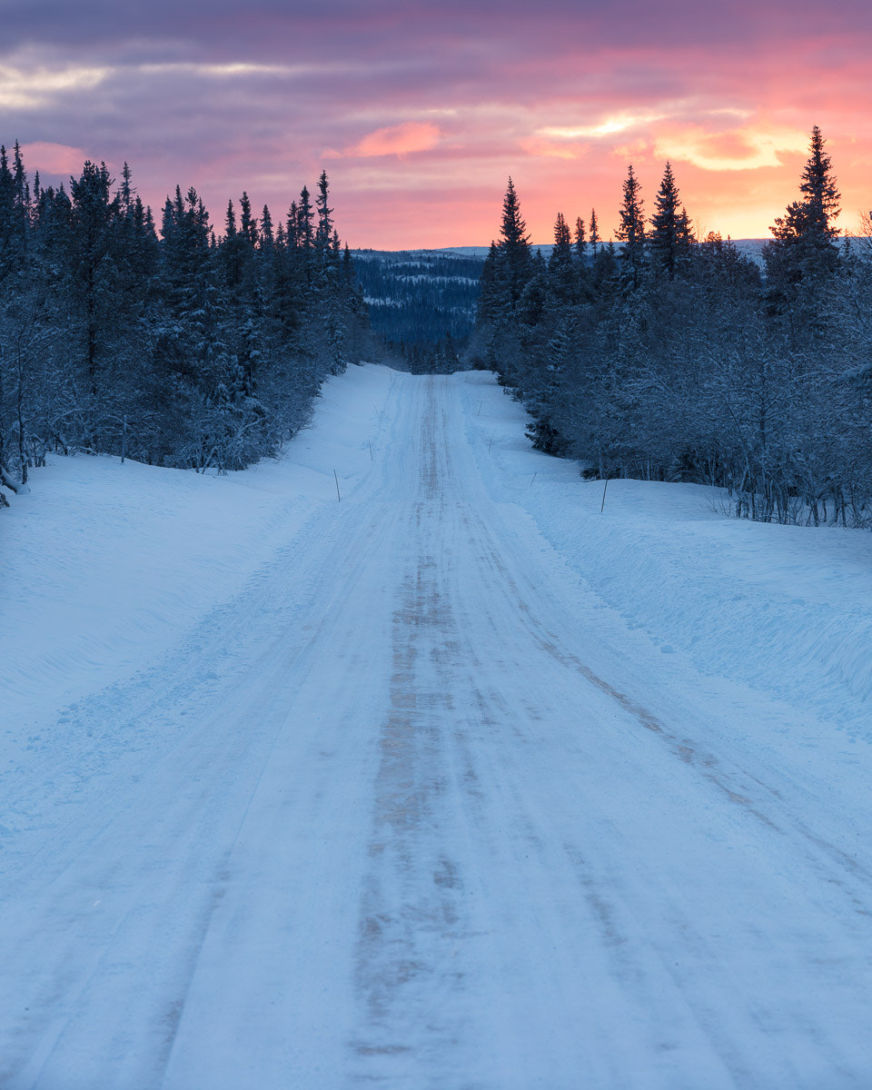 Canon EOS 5DS R + ZEISS Apo Sonnar T* 135mm F2 sample photo. Lillådalen iii photography