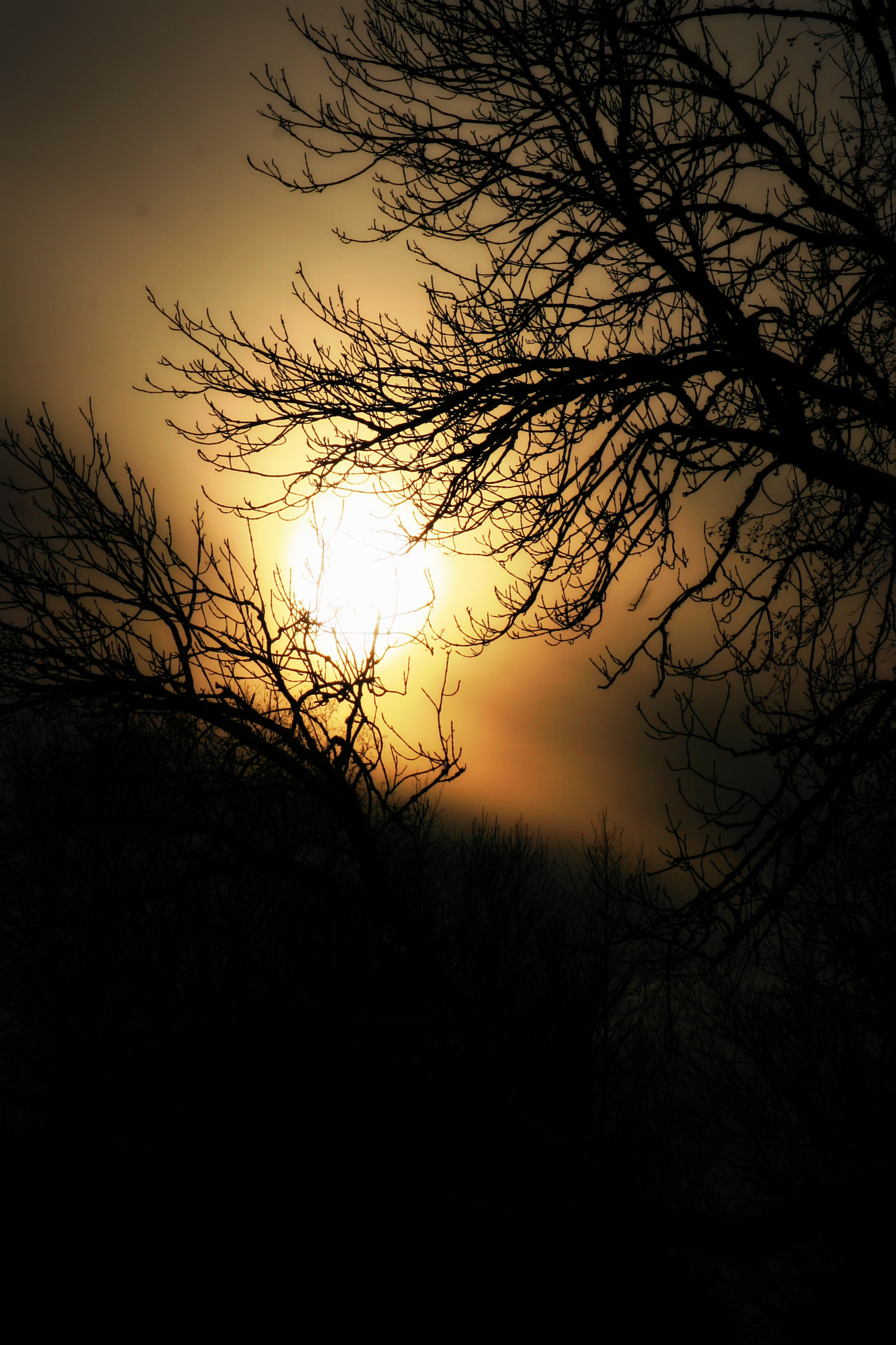 Canon EOS 30D sample photo. Img photography