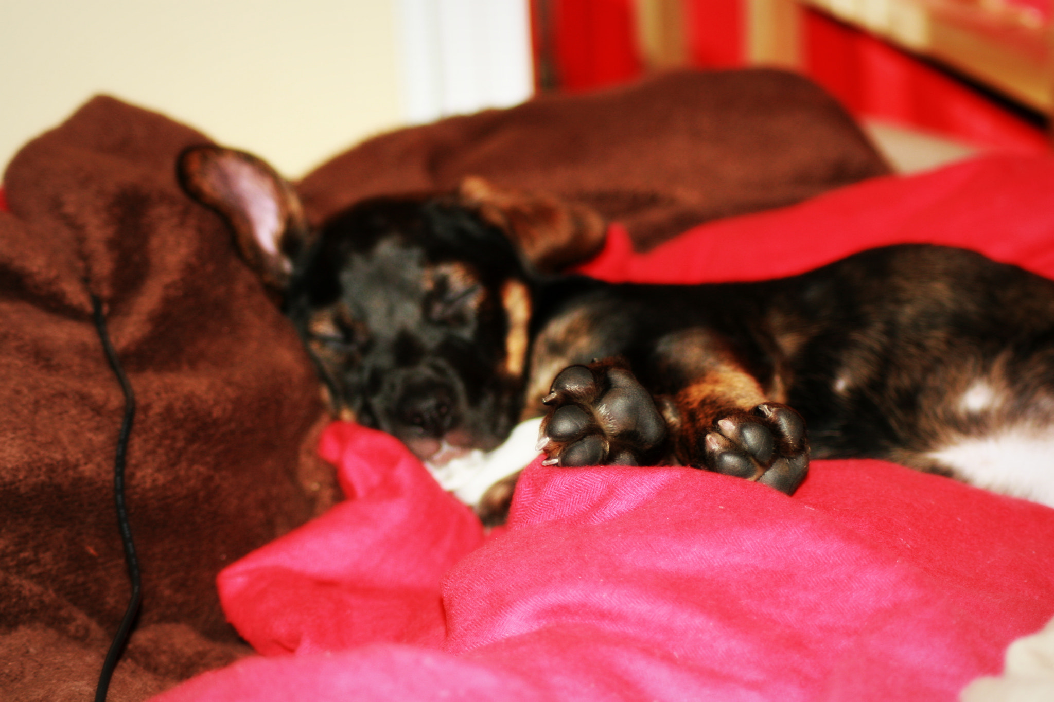 Canon EOS 30D sample photo. Img photography