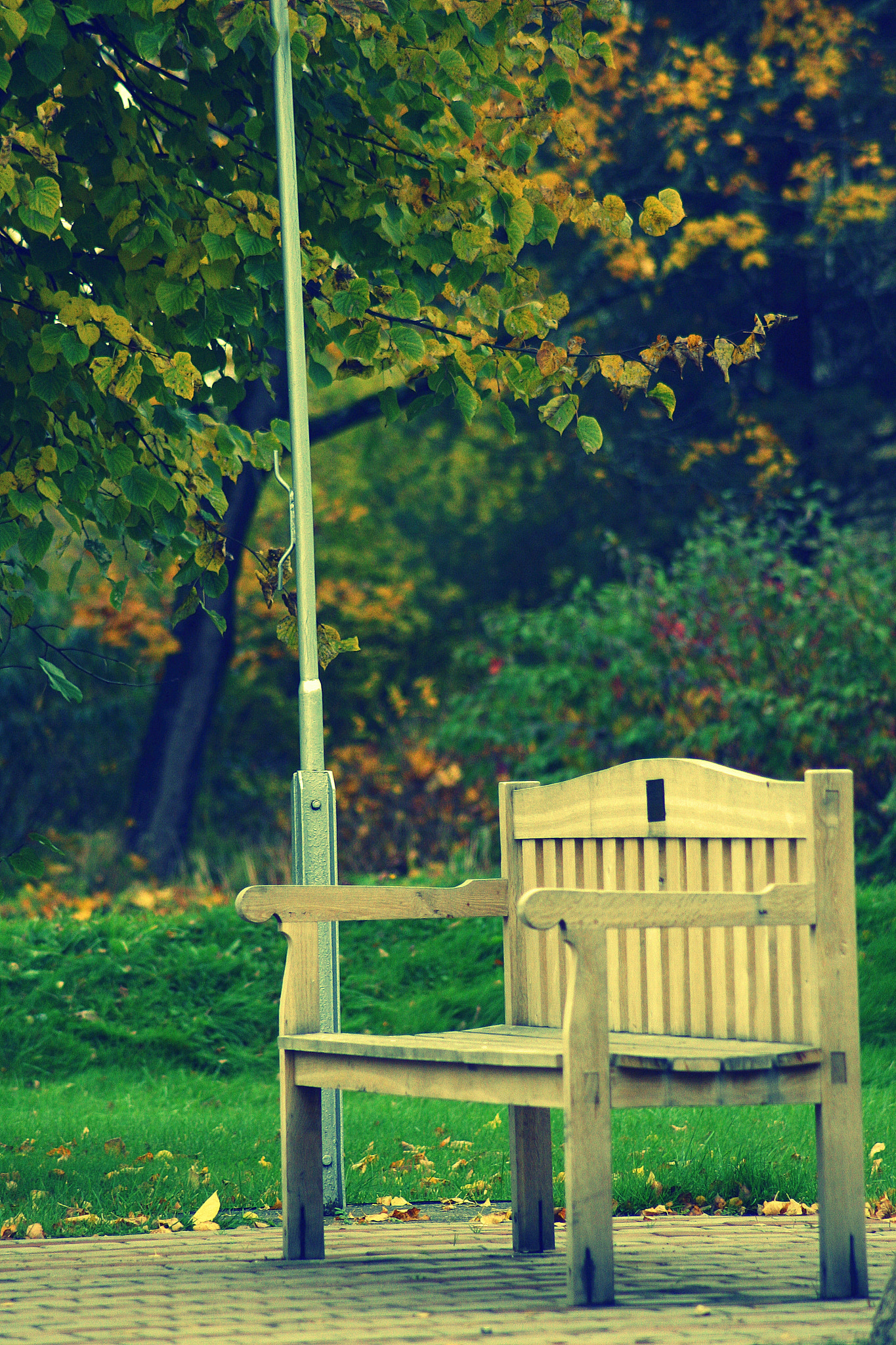 Canon EOS 30D sample photo. Img photography