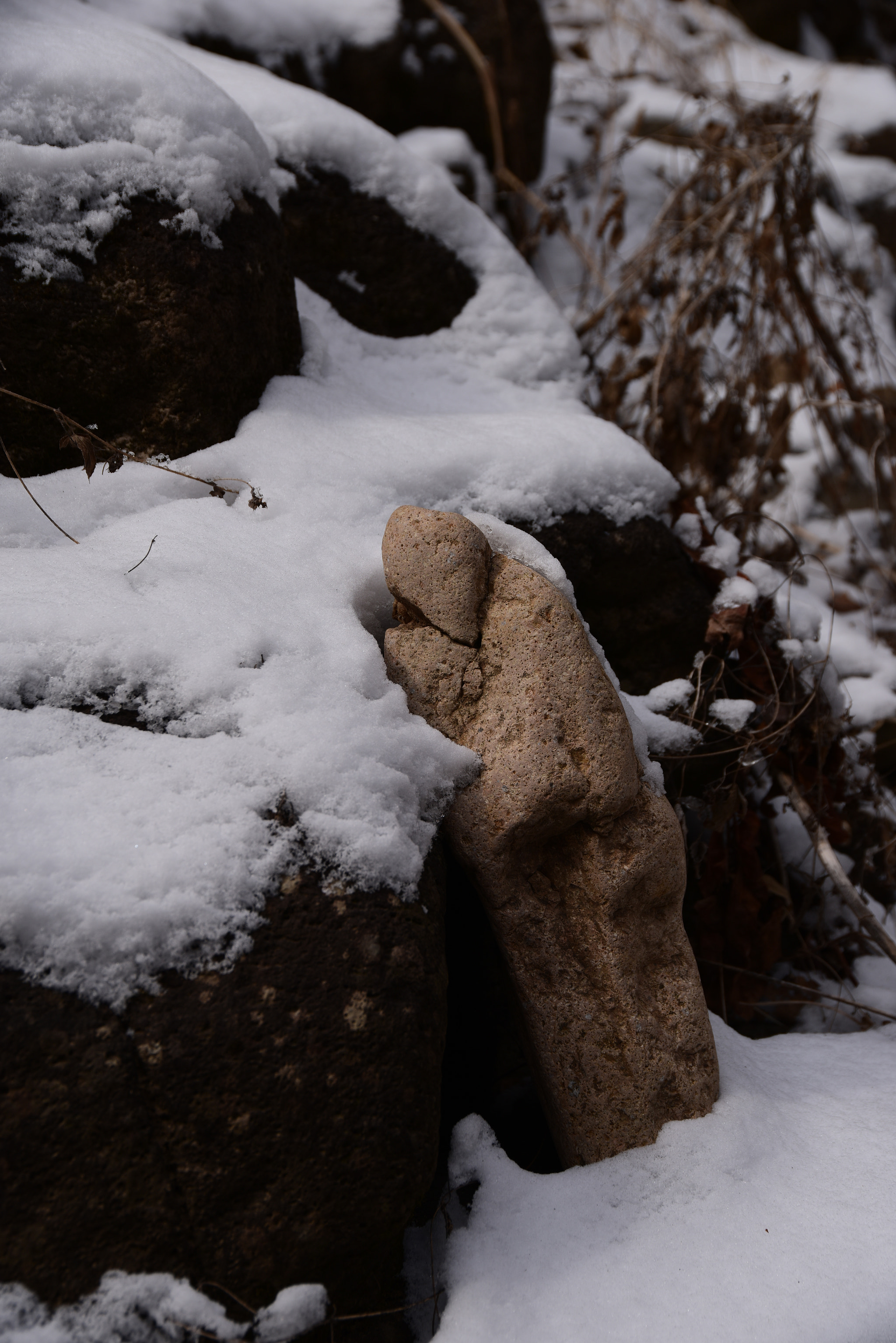 Nikon D810 + Sigma 24-105mm F4 DG OS HSM Art sample photo