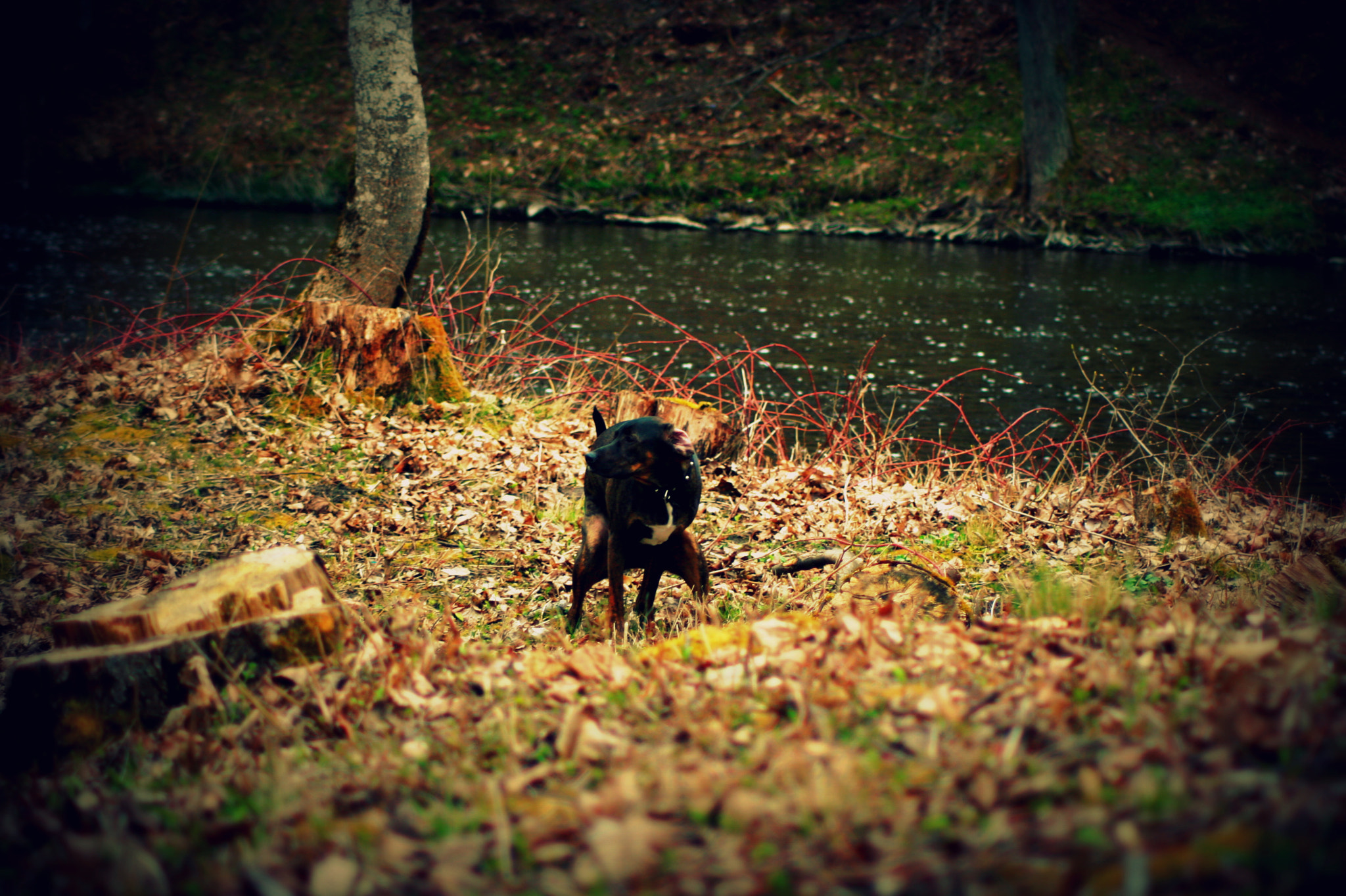 Canon EOS 30D sample photo. Img photography