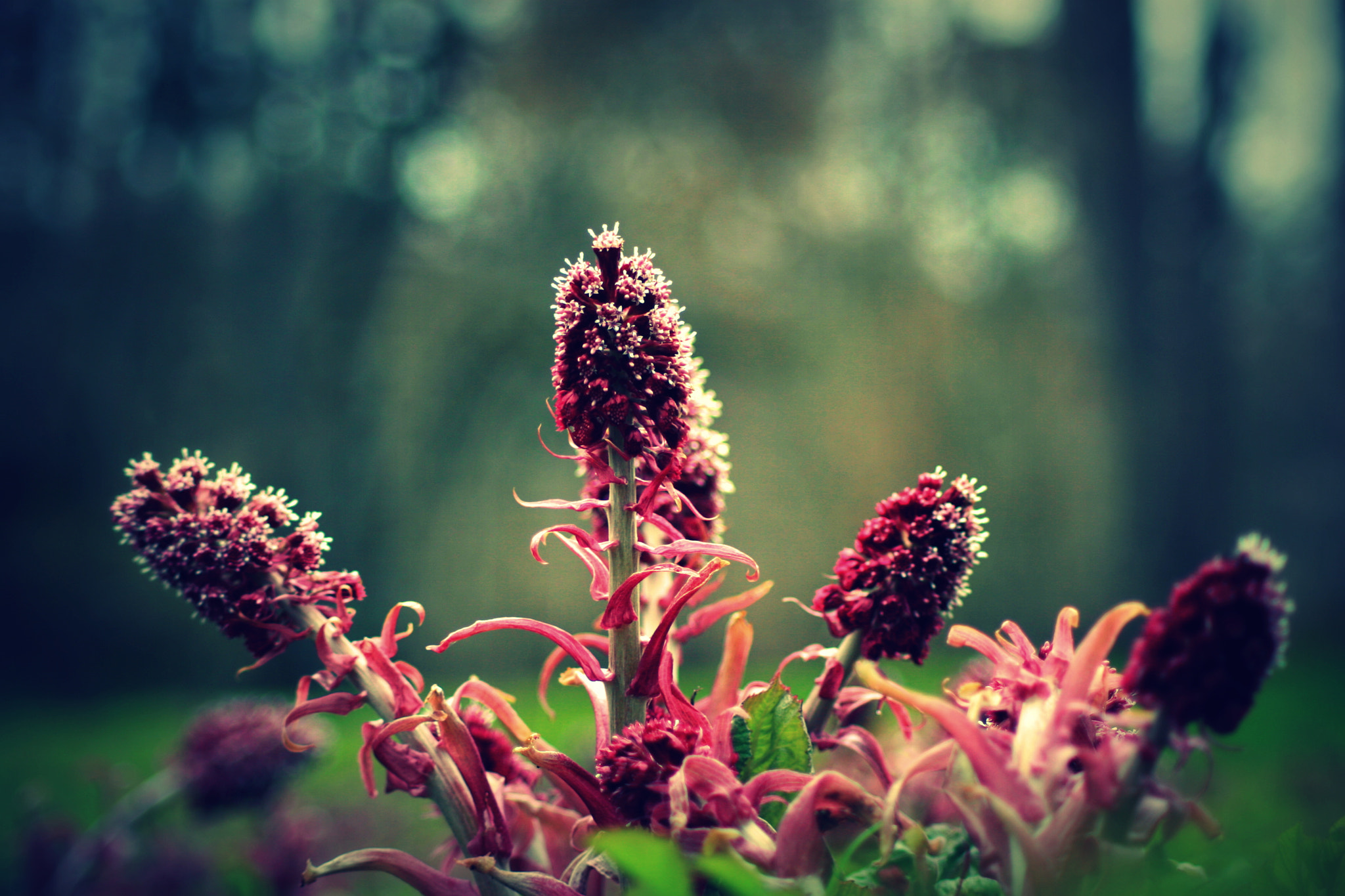 Canon EOS 30D sample photo. Img photography