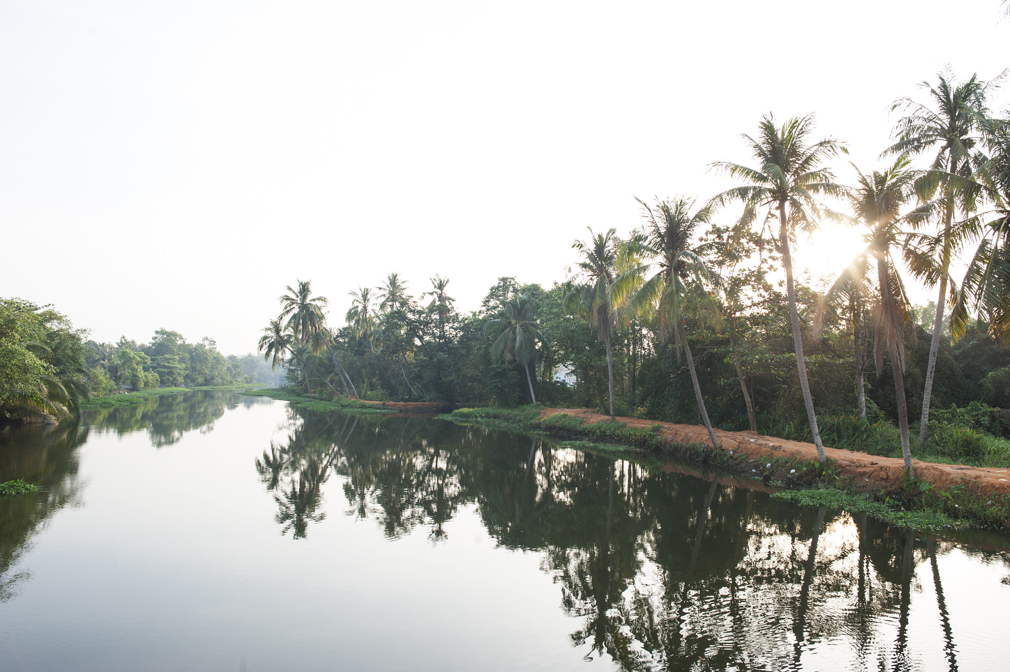 Nikon D3 + Samyang 12mm F2.8 ED AS NCS Fisheye sample photo