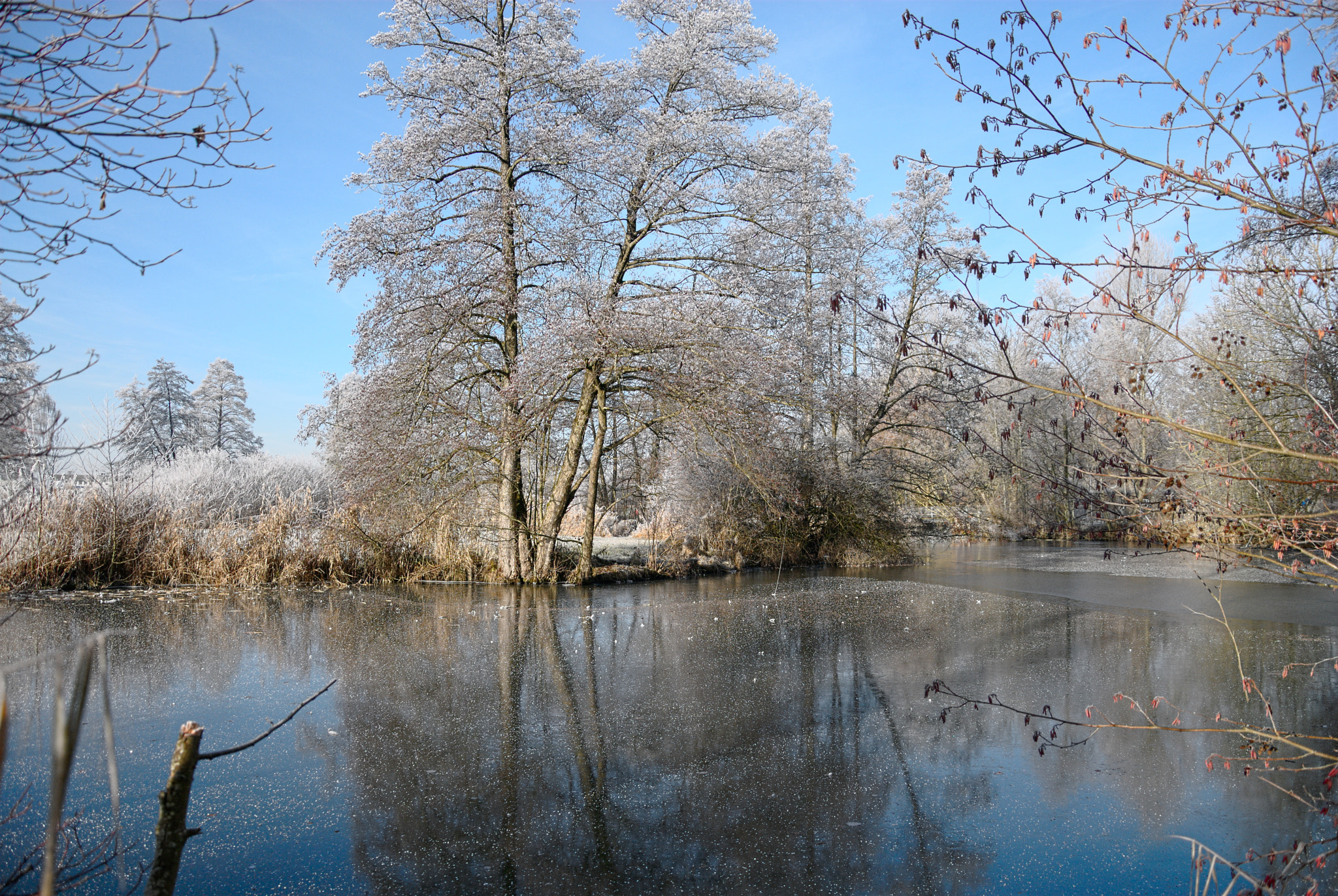 Nikon D200 sample photo. Frosty lake photography