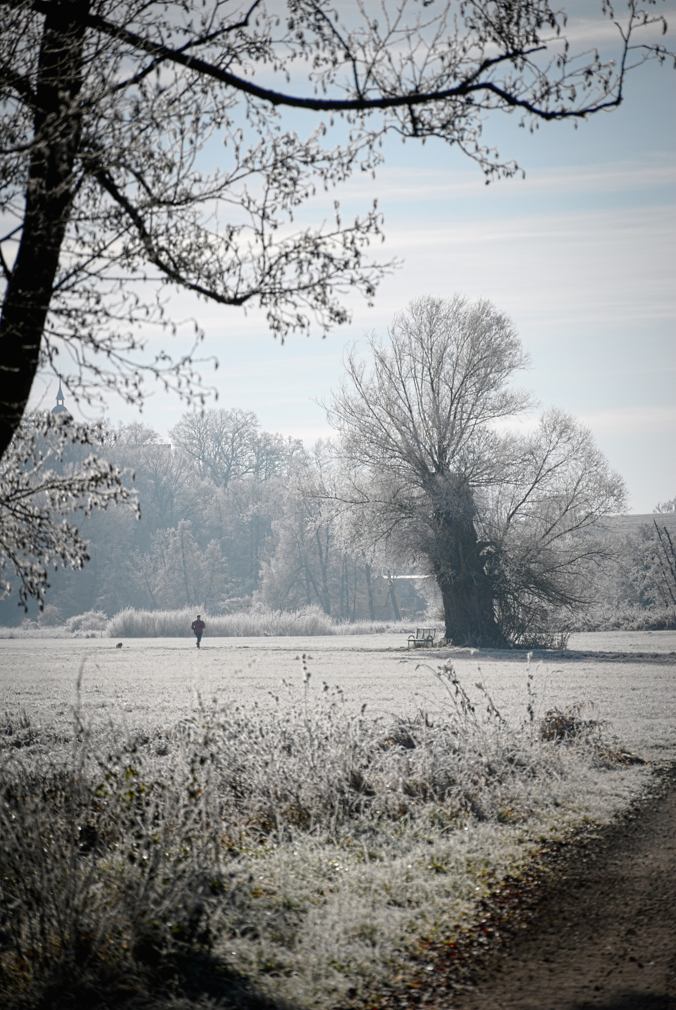 Nikon D200 sample photo. Wintermorning ii photography