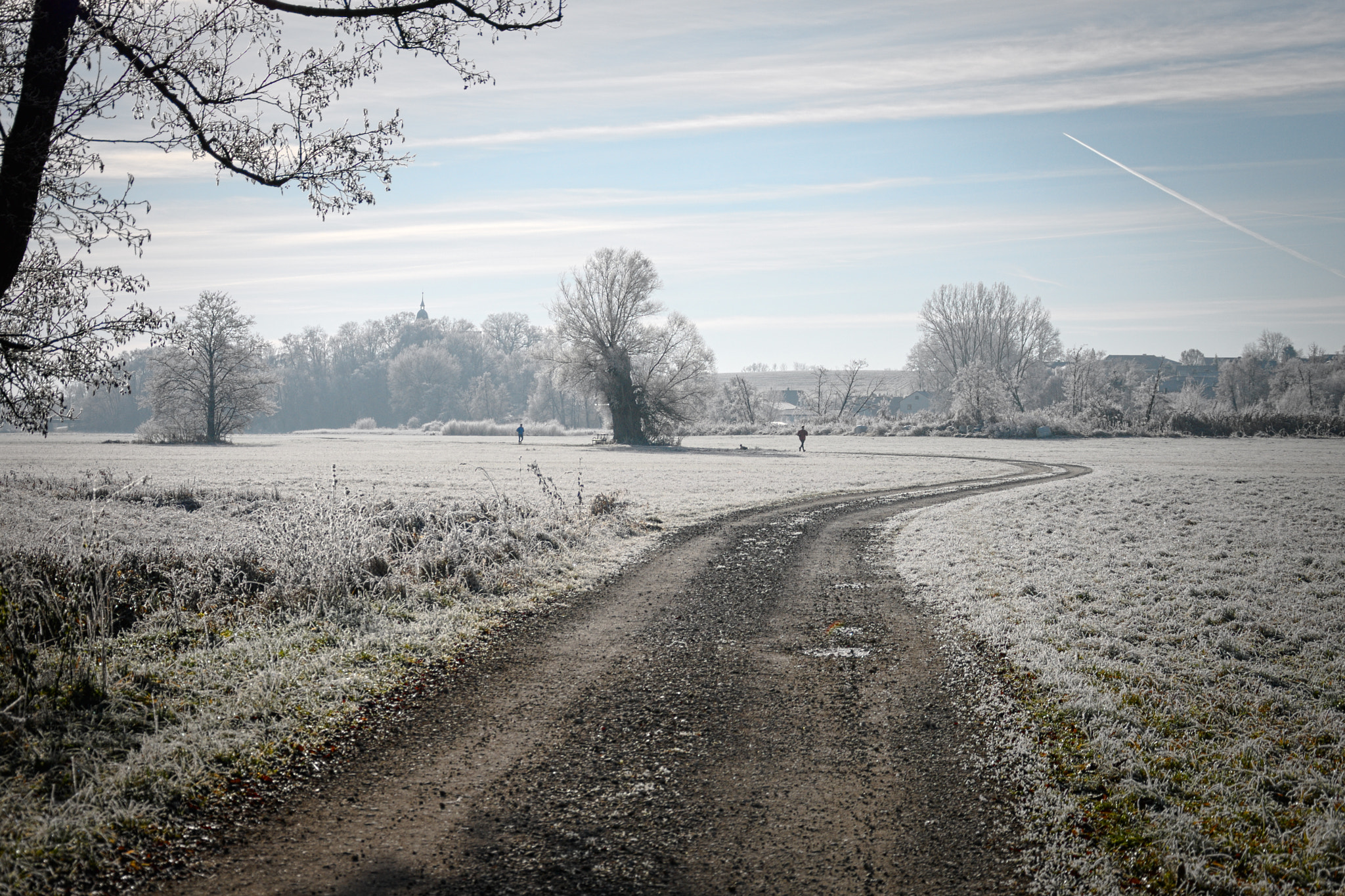 Nikon D200 sample photo. Wintermorning iii photography
