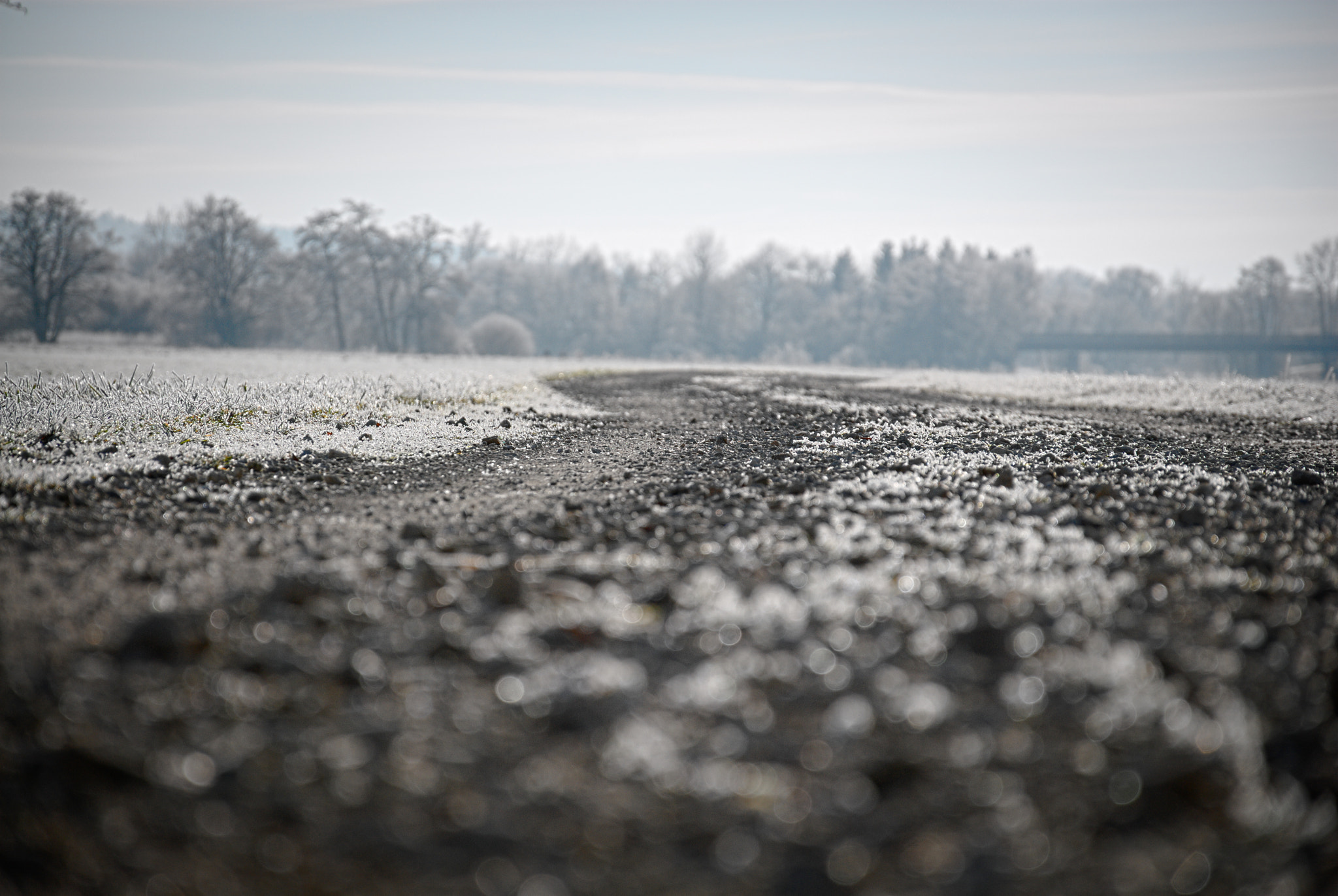 Nikon D200 sample photo. Frosty path photography