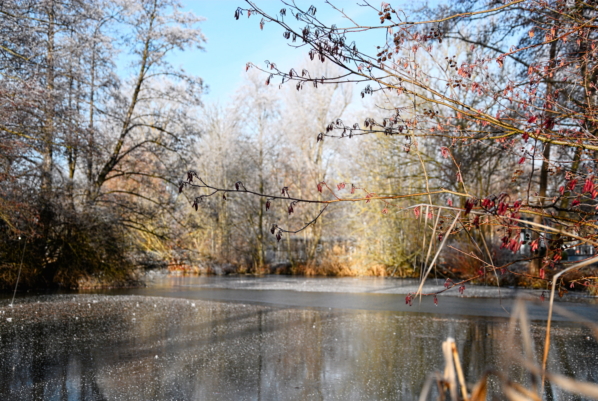 Nikon D200 sample photo. Frosty lake ii photography