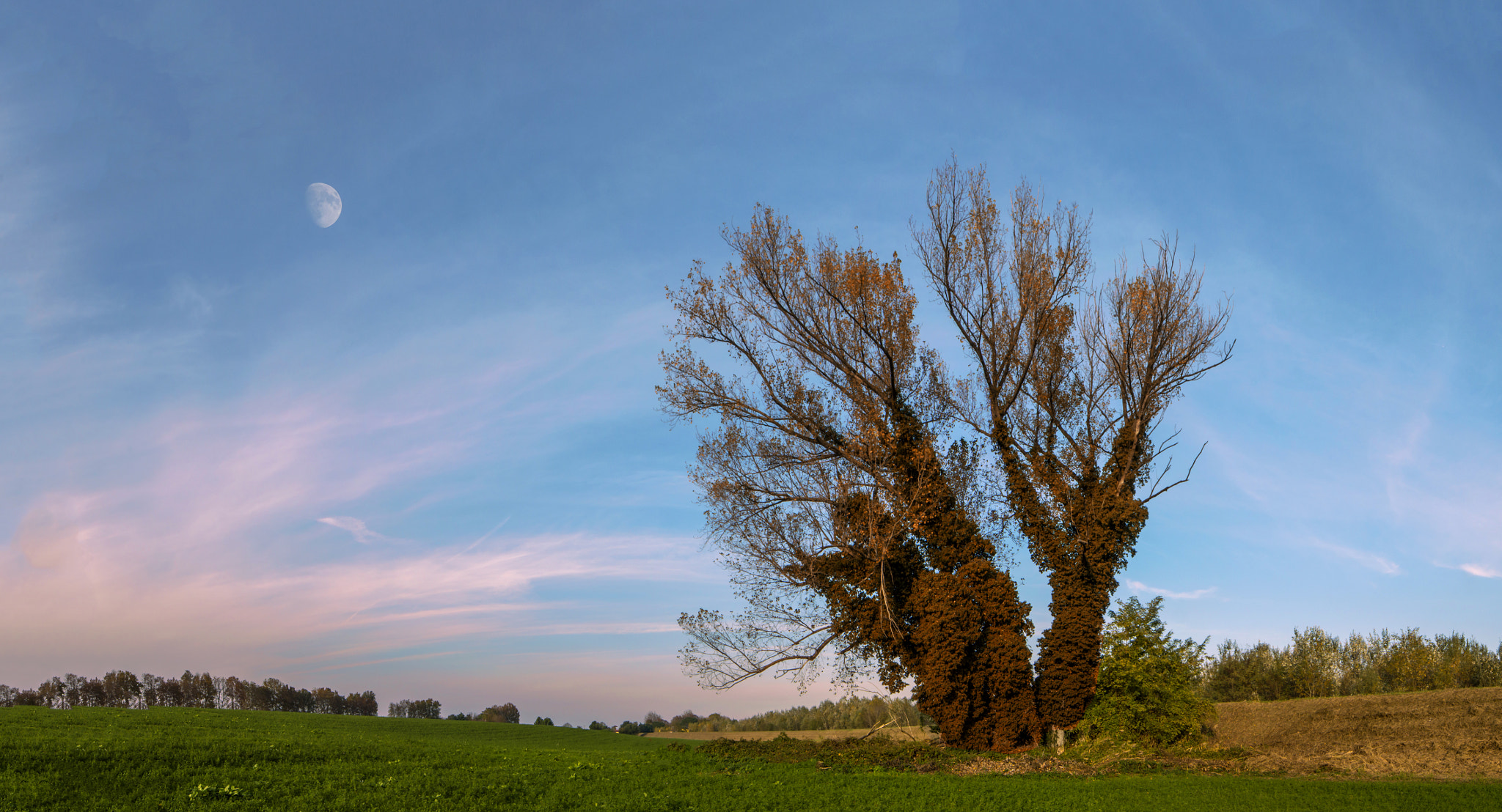 Samyang 14mm F2.8 ED AS IF UMC sample photo. Matellica luna photography