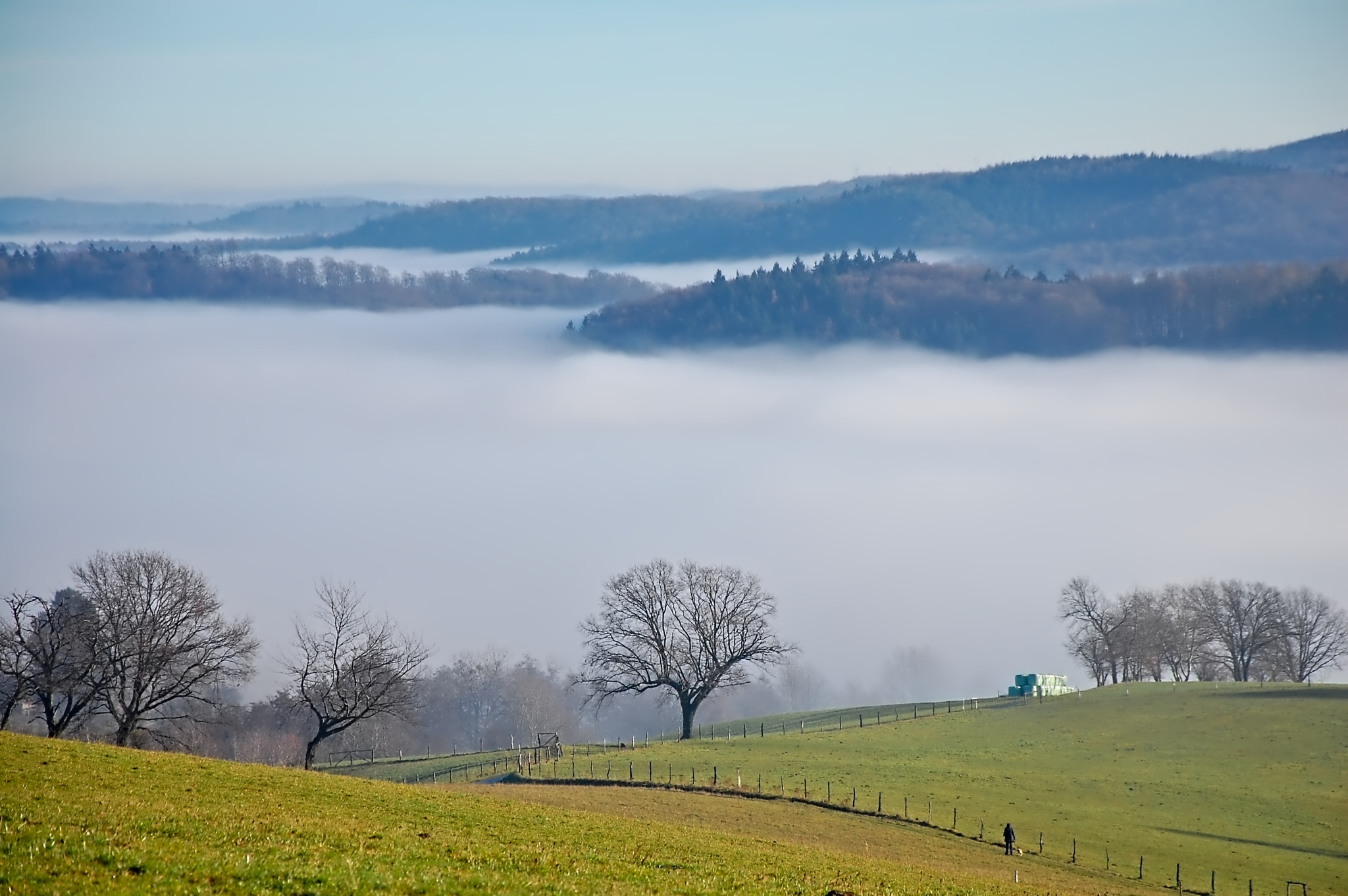 Nikon D40 sample photo. Wanderer above the sea of fog photography