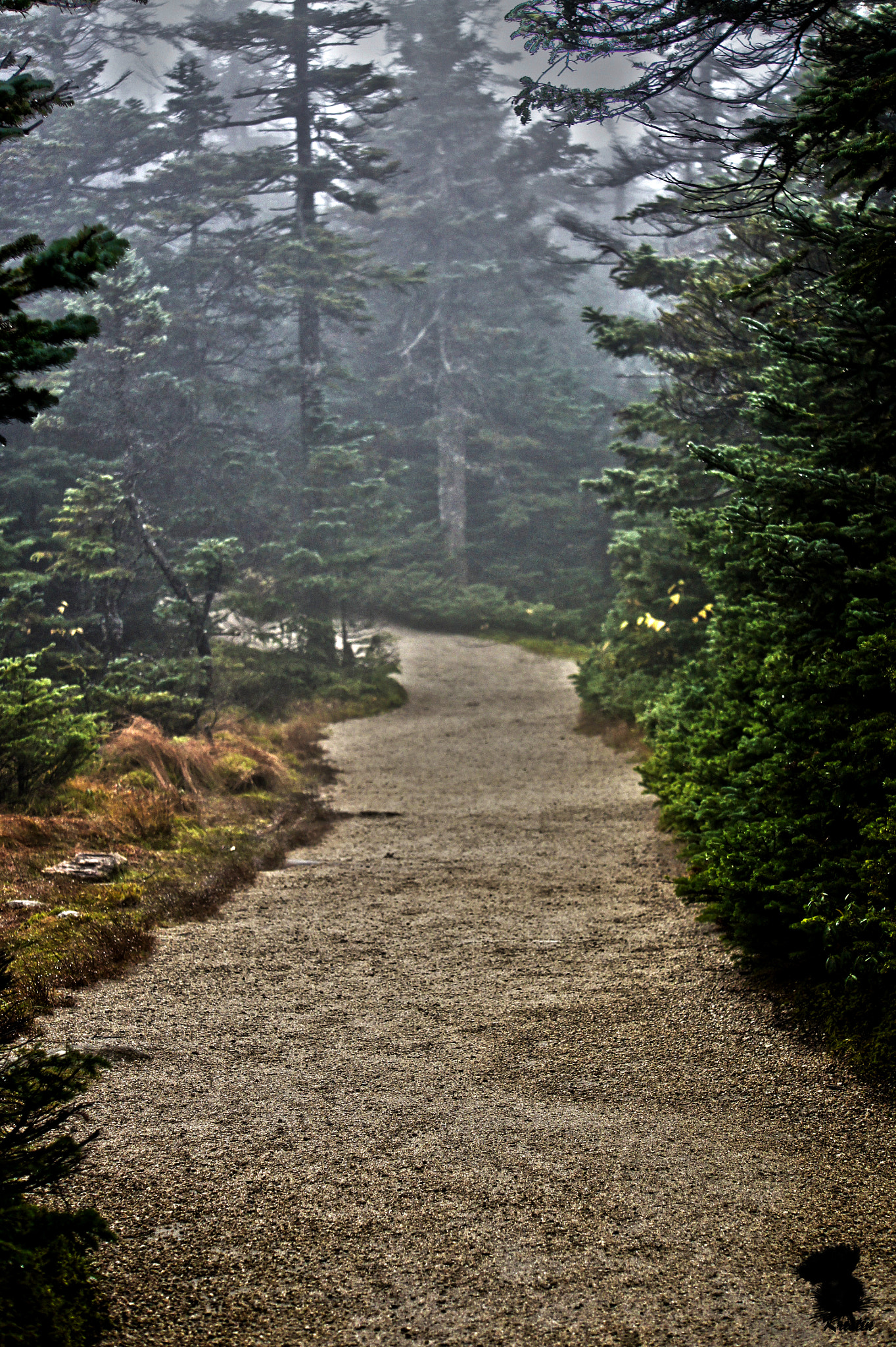 Sony Alpha NEX-3 sample photo. Mountaintop trail photography