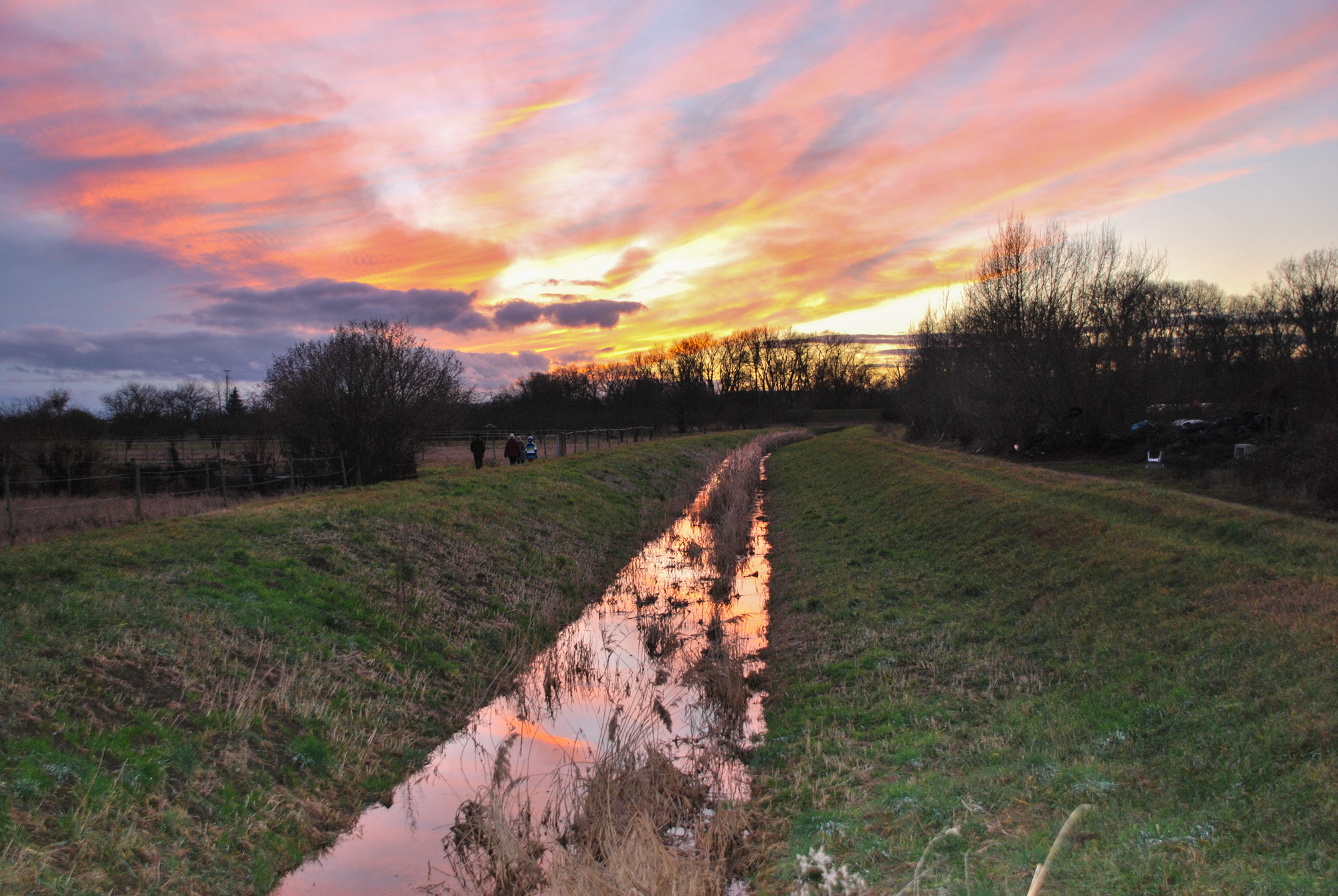 Nikon D60 sample photo. Ditch in colour photography