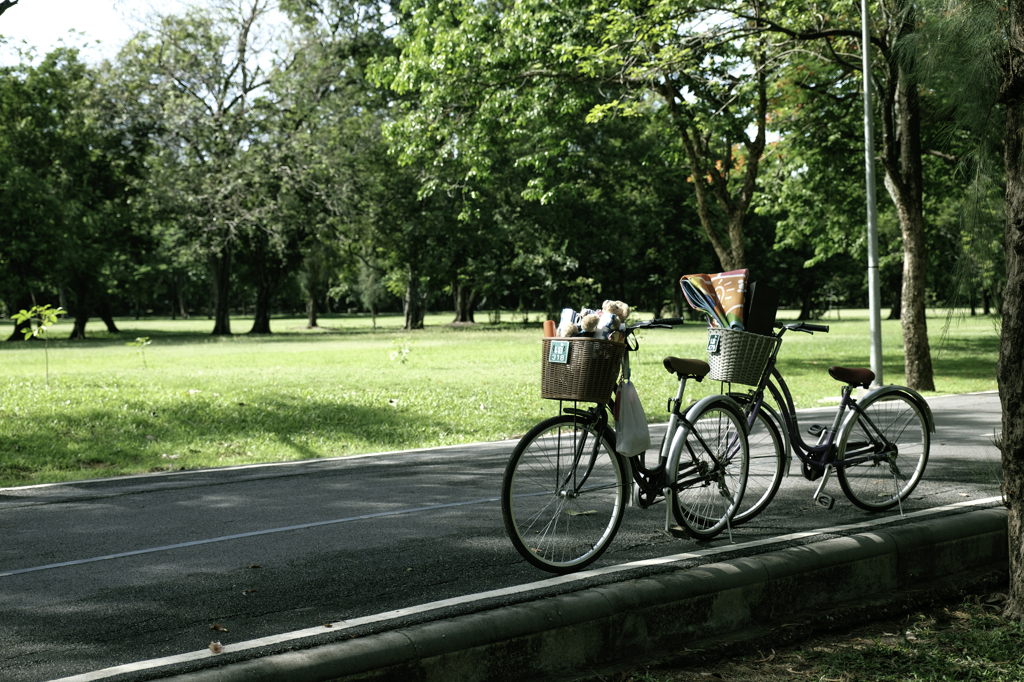 Fujifilm X-T10 + Fujifilm XF 16-55mm F2.8 R LM WR sample photo. Couple of bicycle for relax in park, parking on the street in pa photography
