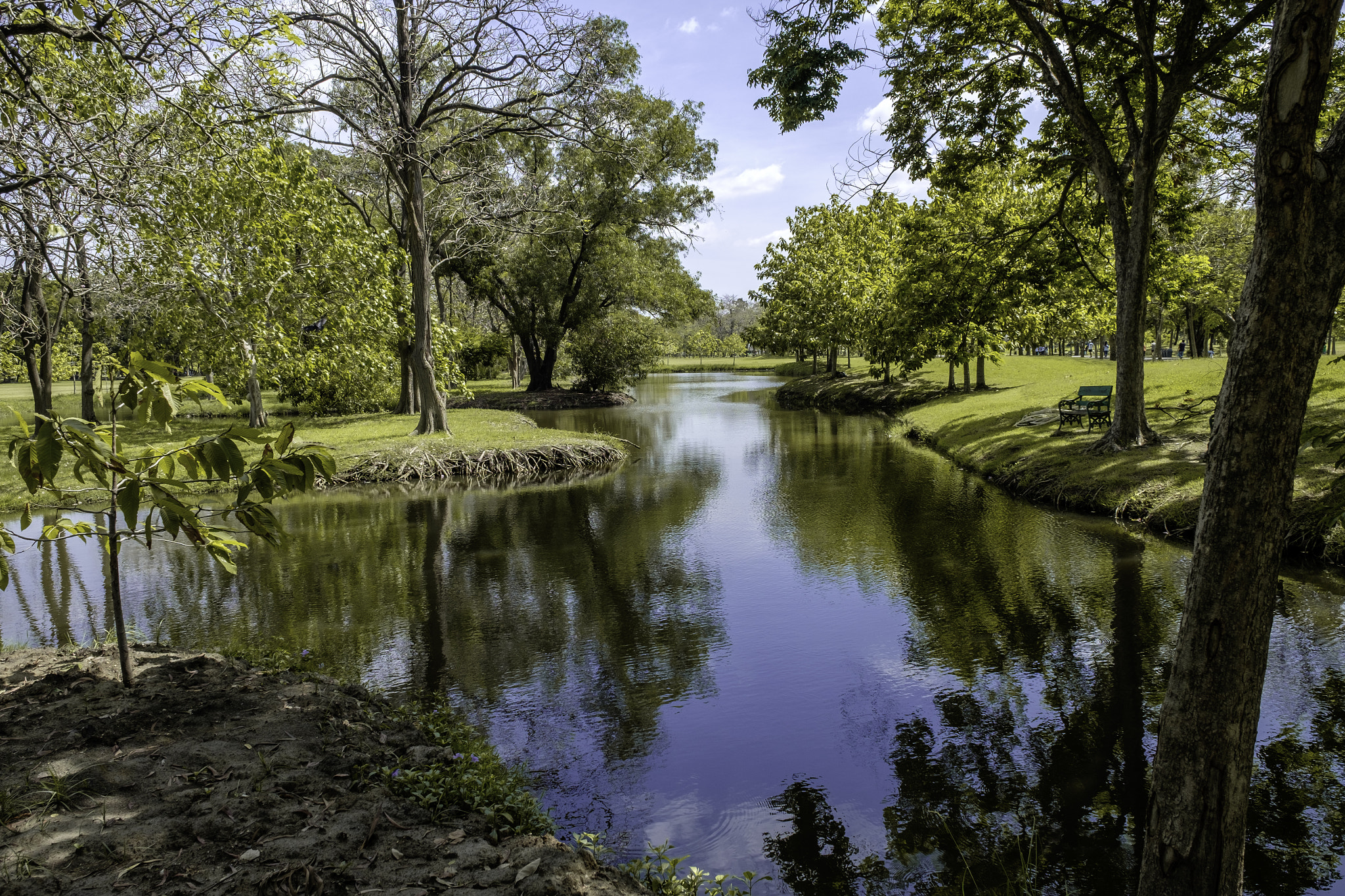Fujifilm X-T10 + Fujifilm XF 16-55mm F2.8 R LM WR sample photo. A small lake in the park with some reflextion of blue sky. park photography
