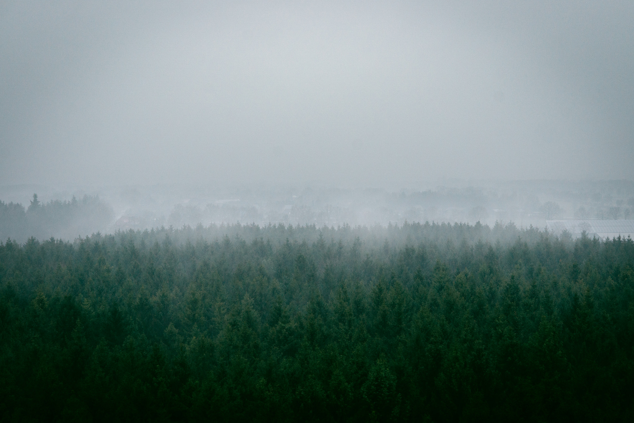 Sony a6000 + Sigma 30mm F2.8 EX DN sample photo. Nok. photography