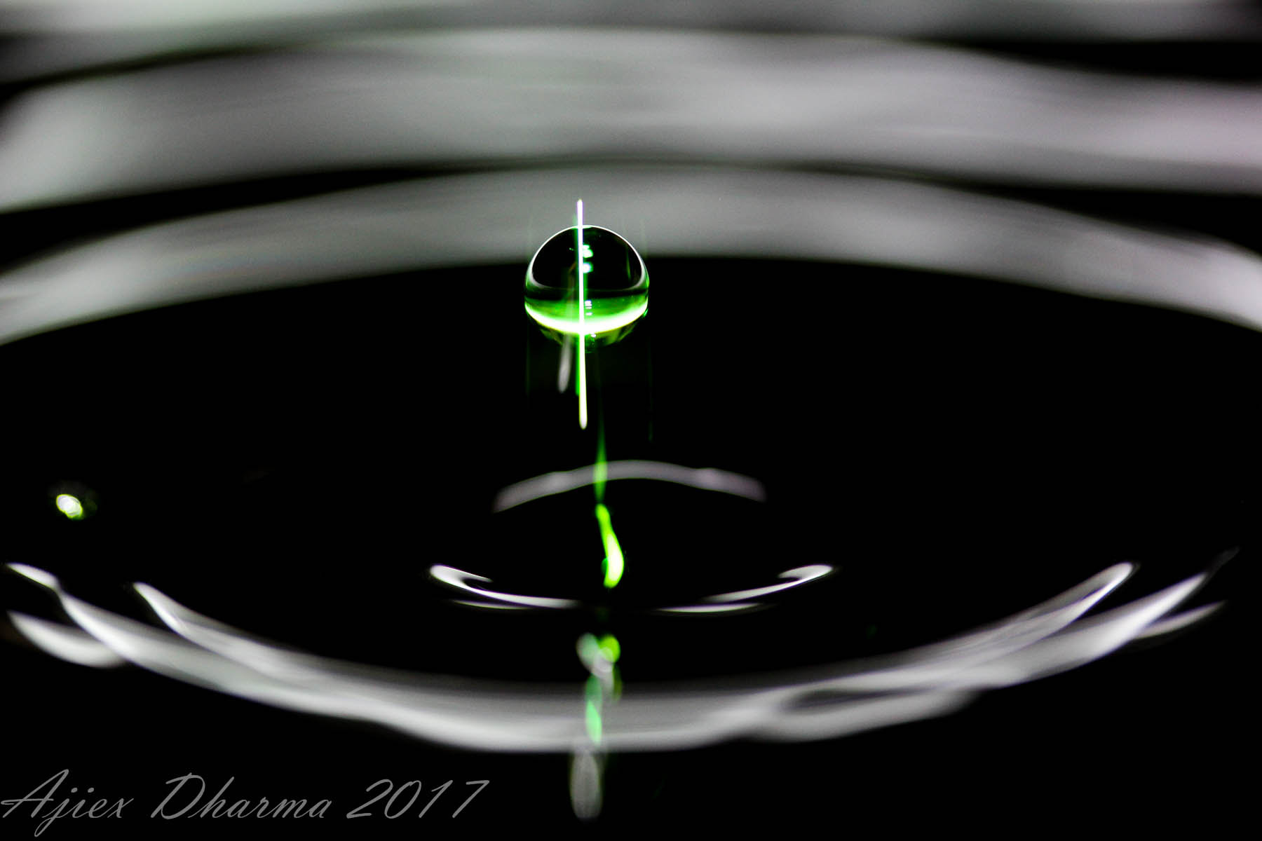 Canon EF-S 60mm F2.8 Macro USM sample photo. Water drop  photography
