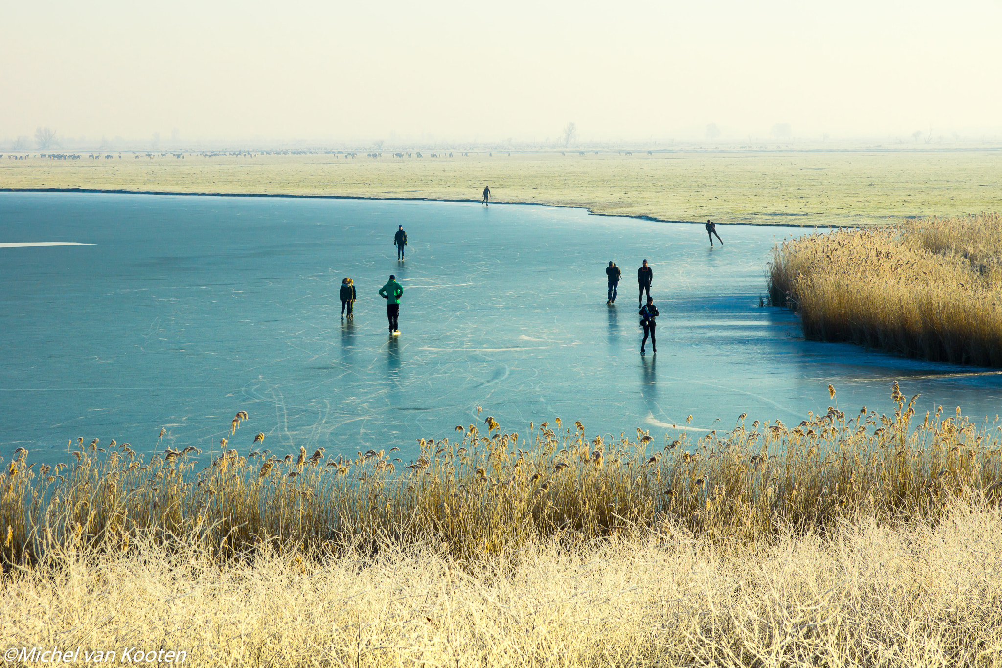 Sony SLT-A65 (SLT-A65V) sample photo. Oostvaardersplassen photography