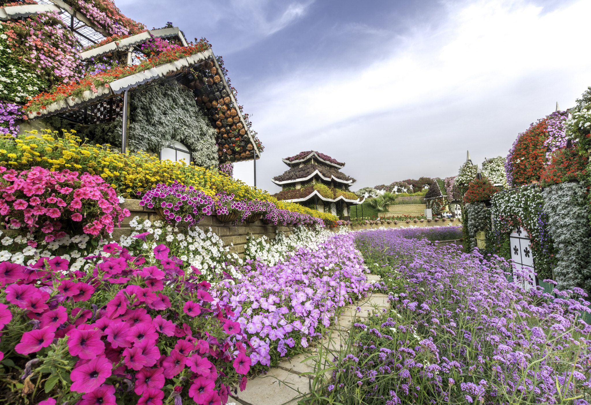 Nikon D5200 + Sigma 10-20mm F3.5 EX DC HSM sample photo. The miracle garden photography